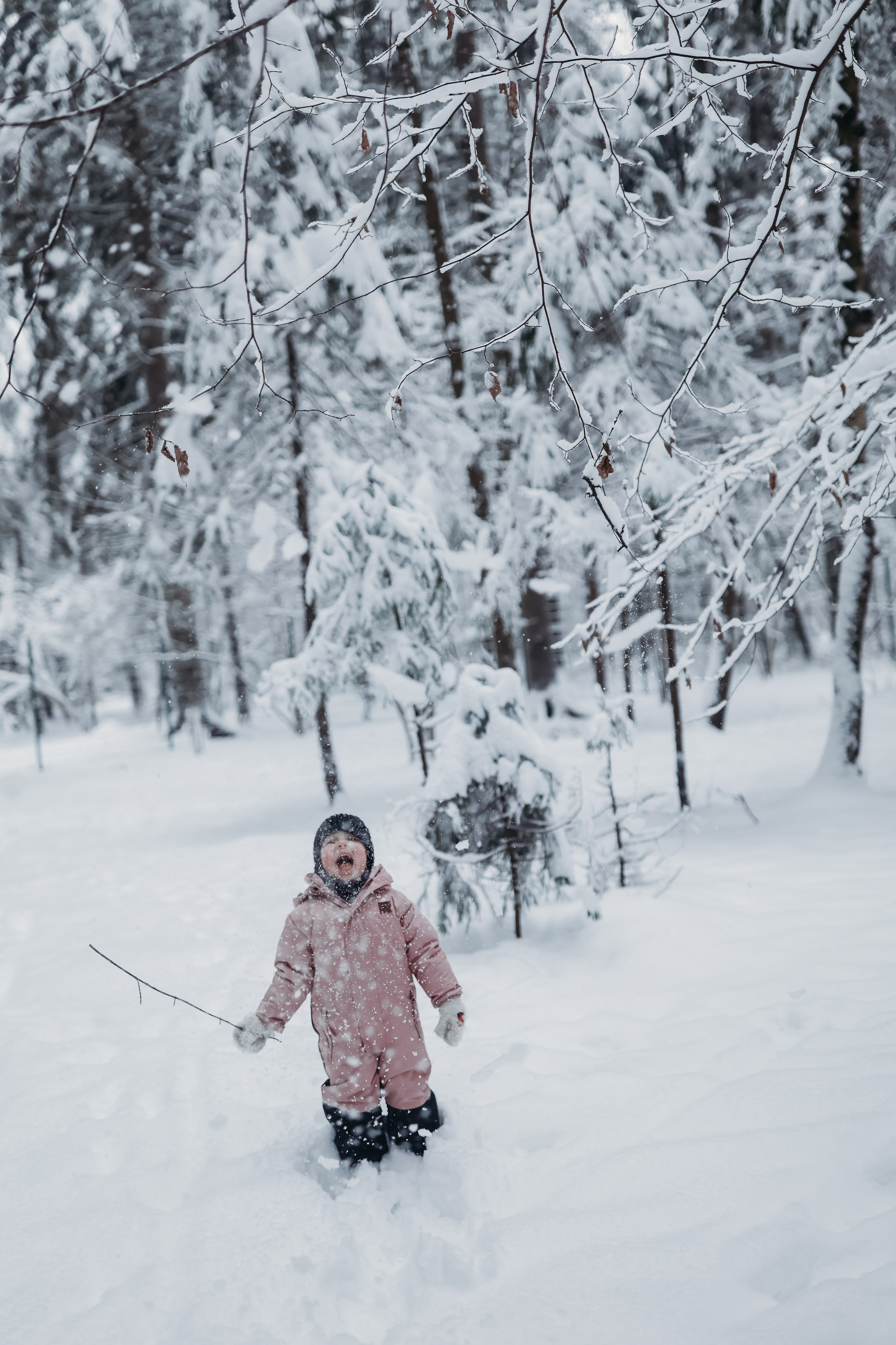 Зимние истории. Главная