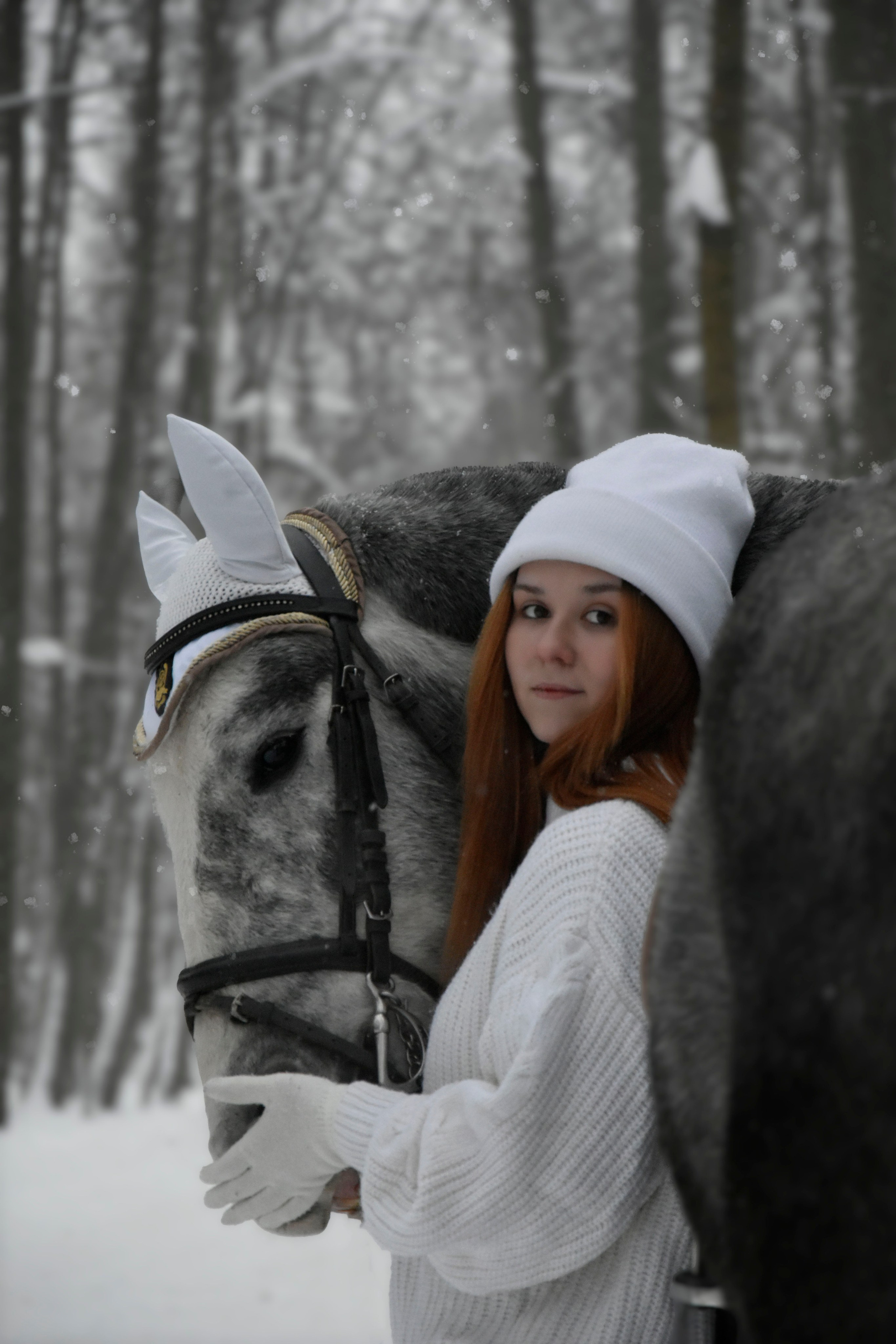 Владислава и Хантер. Фотосессия. Конный фотограф Москва