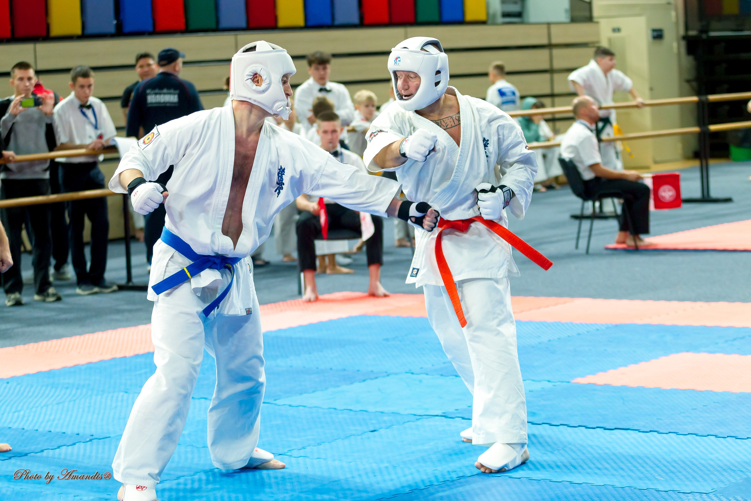 Первенство Московской области по Киокушин в СК «Жаворонки». Репортажная съемка в Москве и области. Анималистика