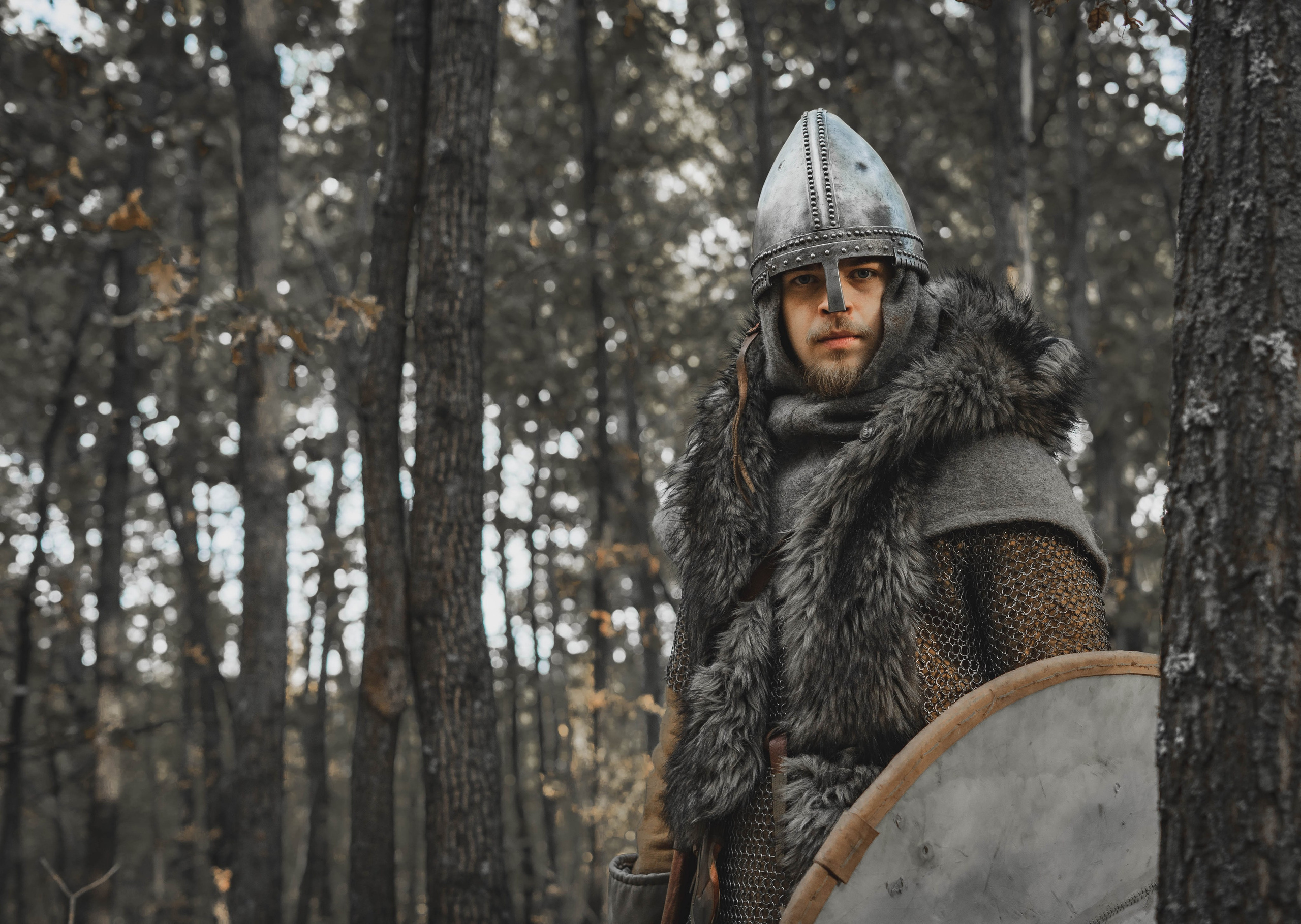 Викинг. Ab extra