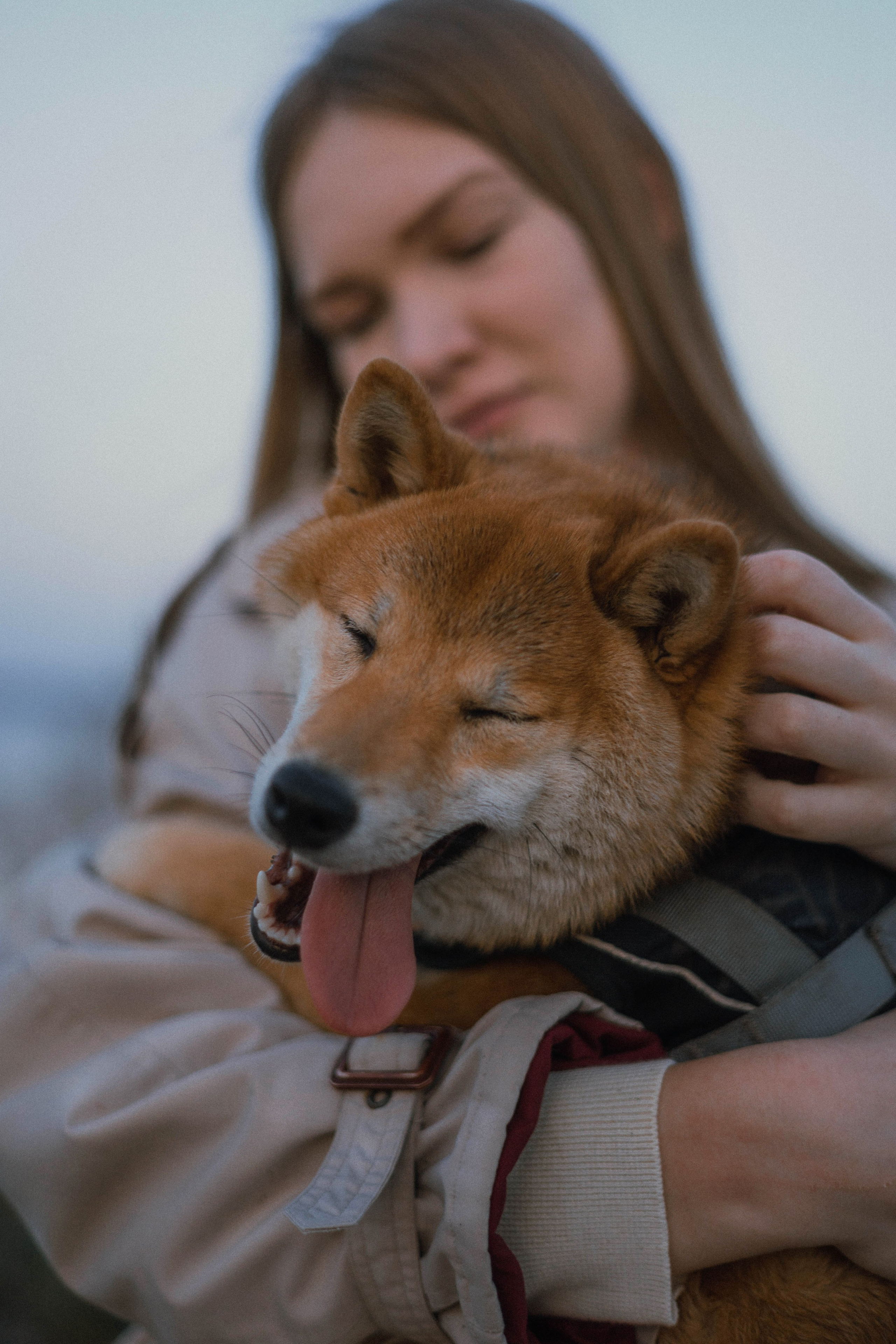 Аня и Шани. Фотограф-анималист Богданова Полина
