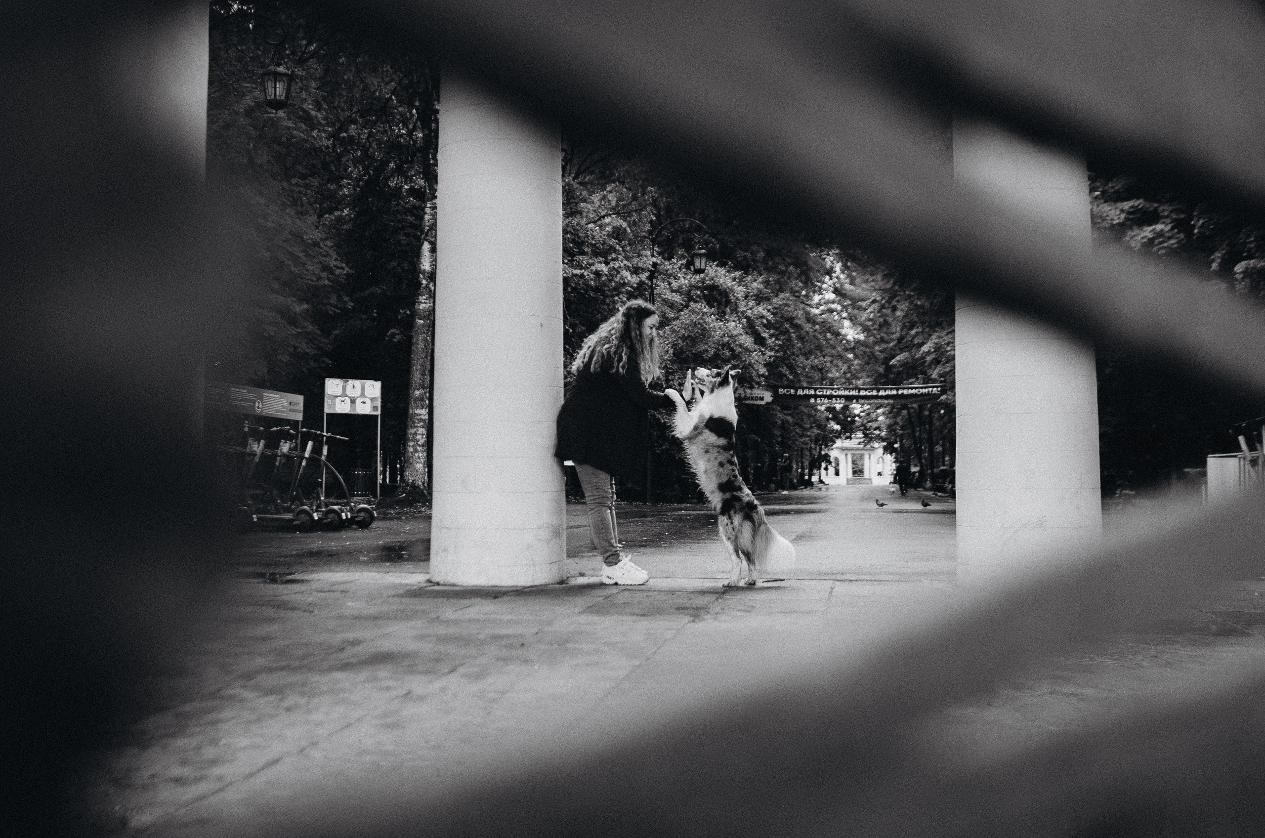 Алина и Бруна. Фотограф-анималист Богданова Полина