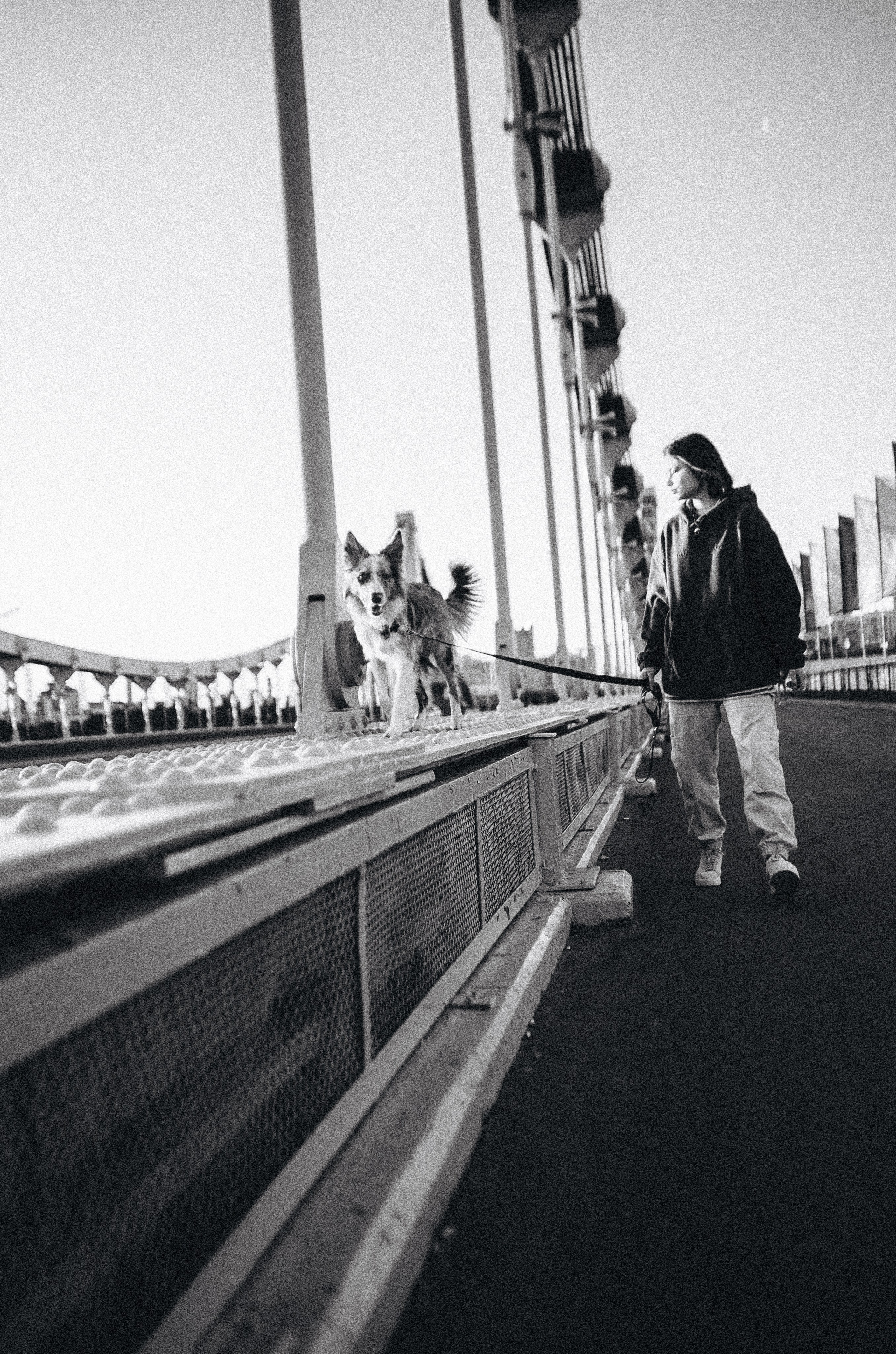 Аня и Дэймон. Фотограф-анималист Богданова Полина