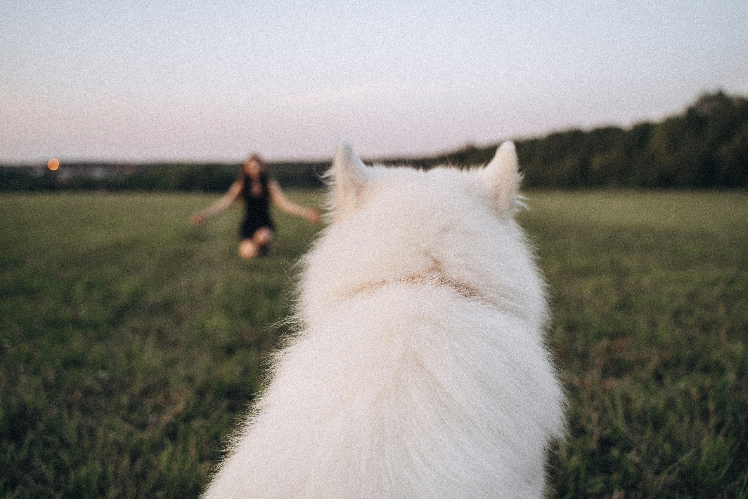 Алёна и Челси. Фотограф-анималист Богданова Полина
