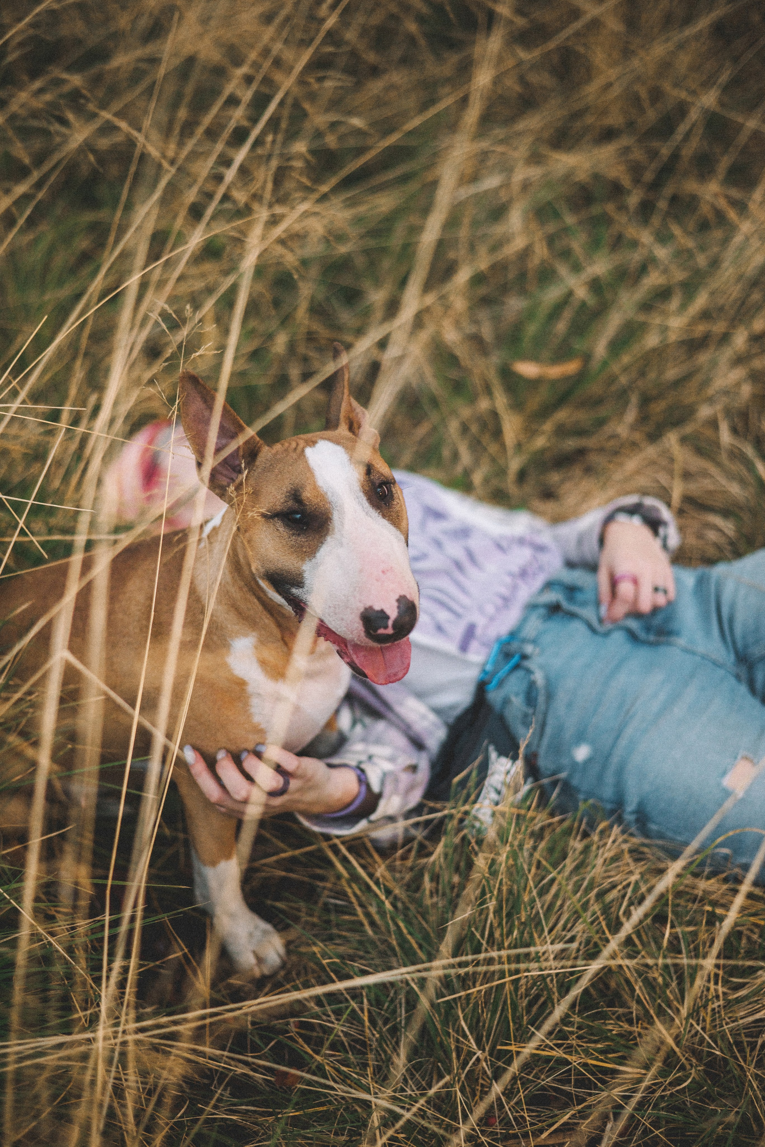 Маша и Рулька. Фотограф-анималист Богданова Полина