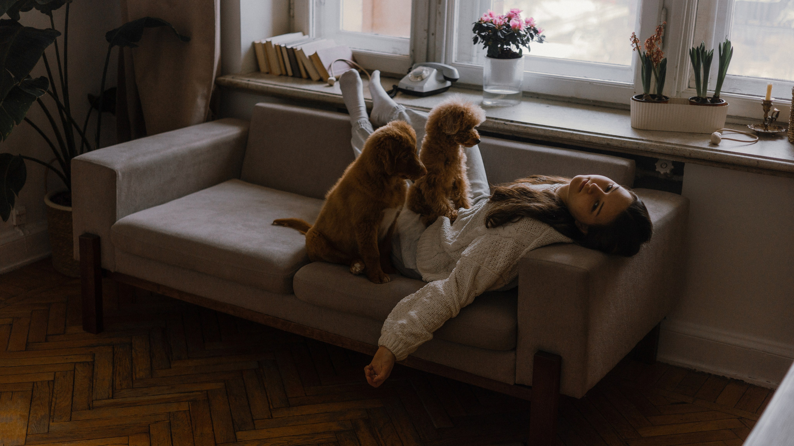 Маша, Одди и Нэвил. Фотограф-анималист Богданова Полина