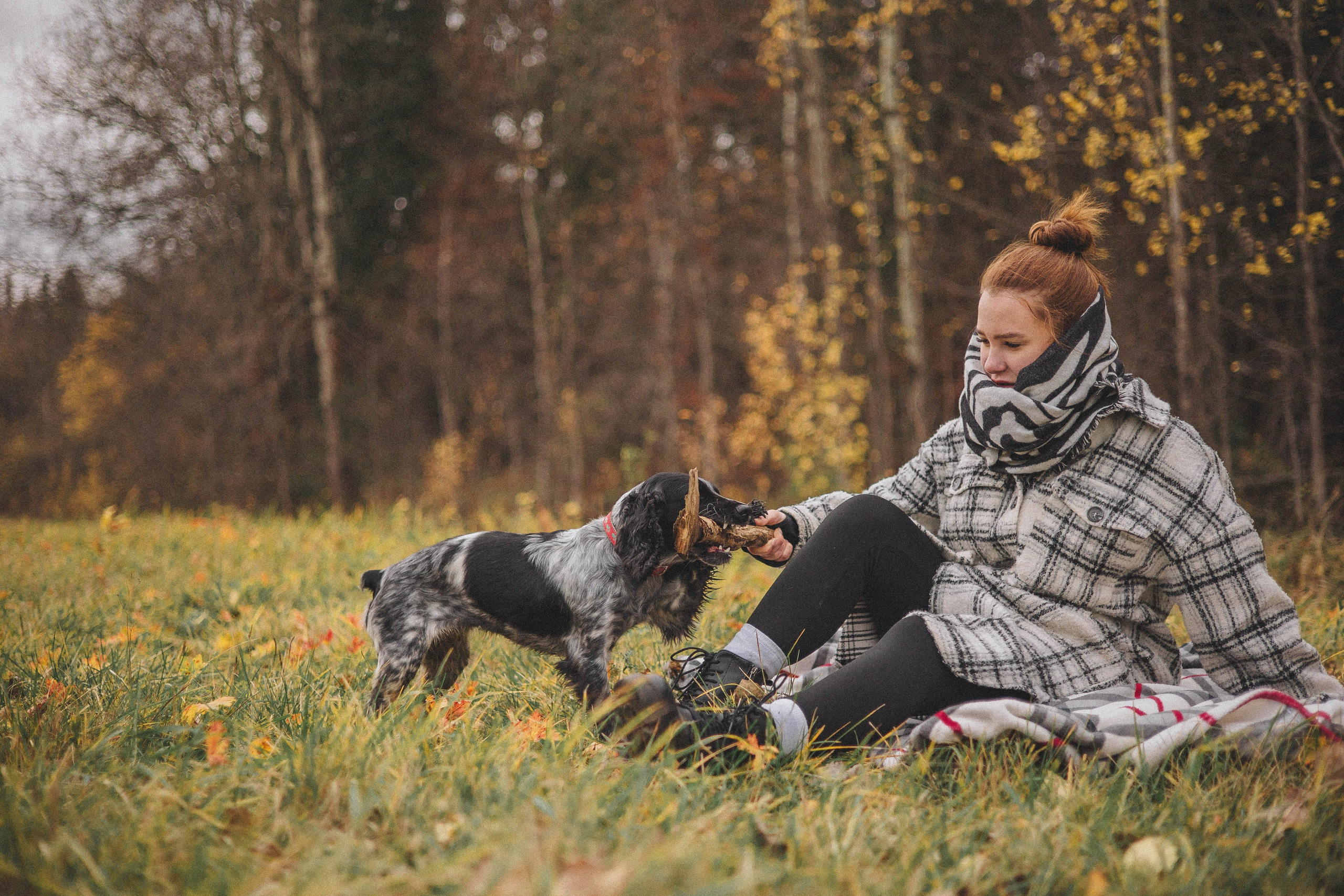 Вика и Ава. Фотограф-анималист Богданова Полина