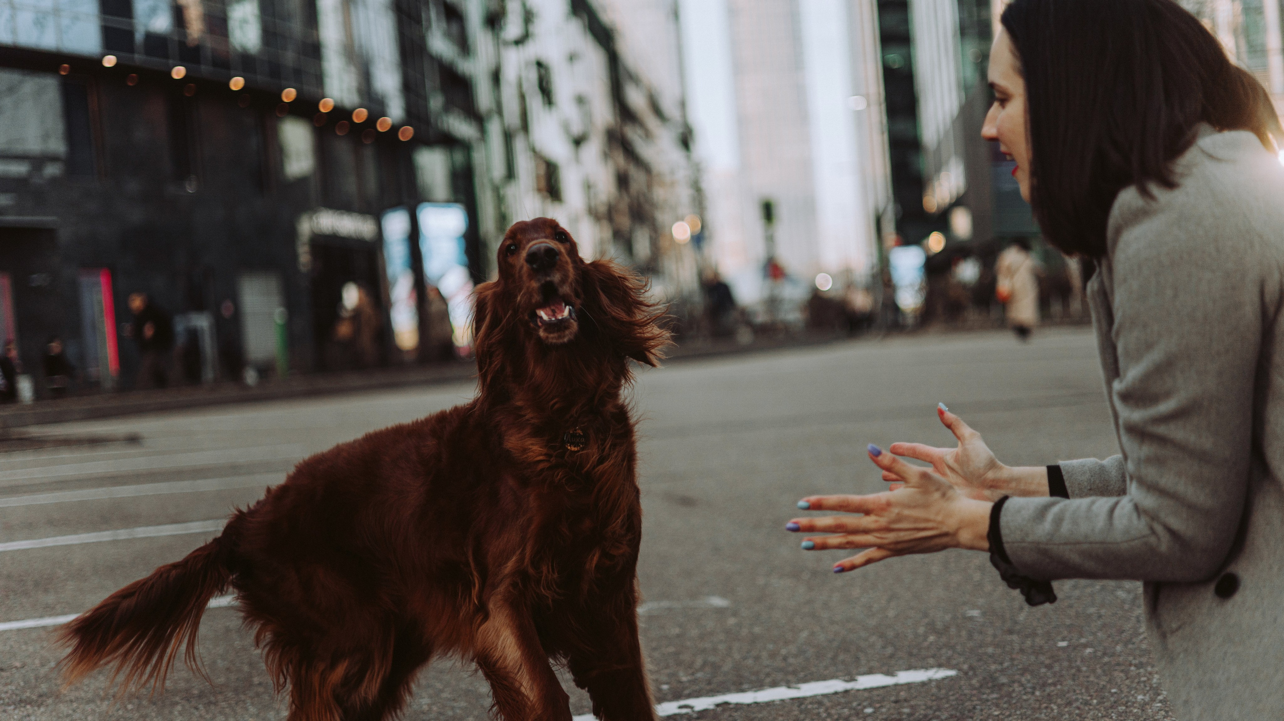 Маша и Лика. Фотограф-анималист Богданова Полина