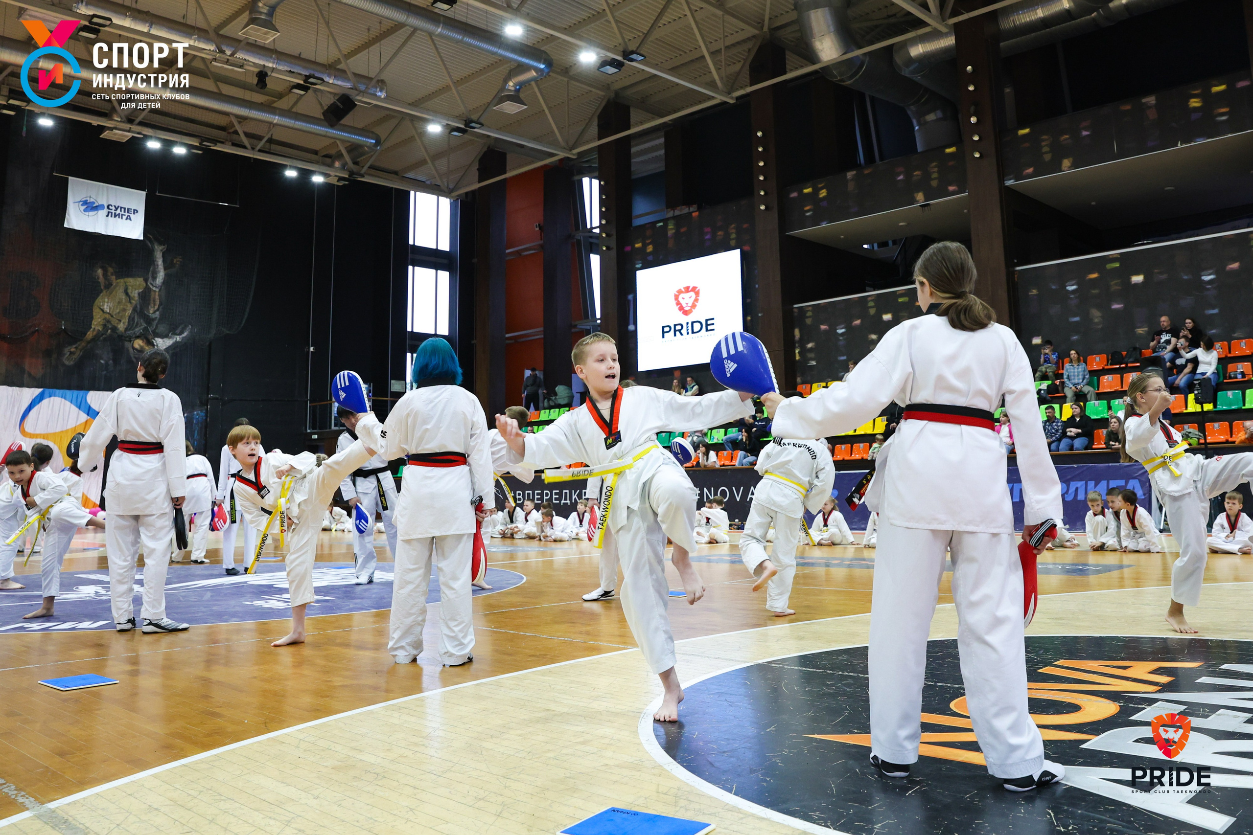 Аттестация по тхэквондо. Фотограф Дарья Попова