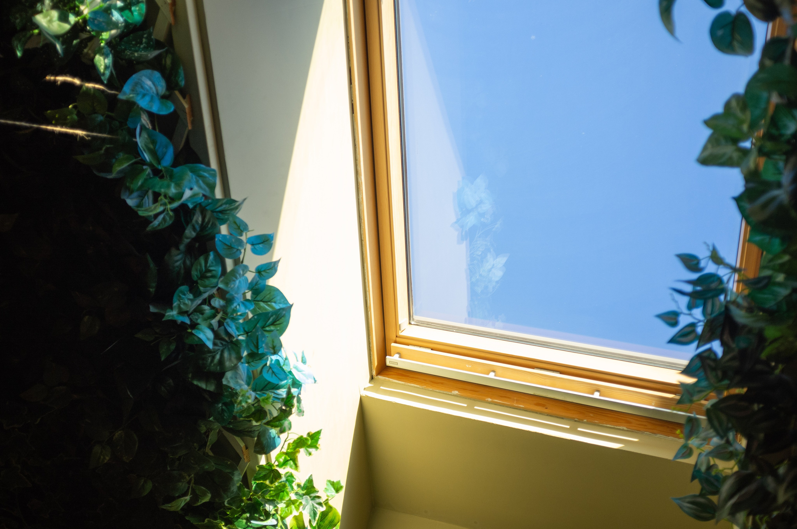 Джаз-клуб Kozlov club. Мансарда. Искусство фотографии. Мария Осокина