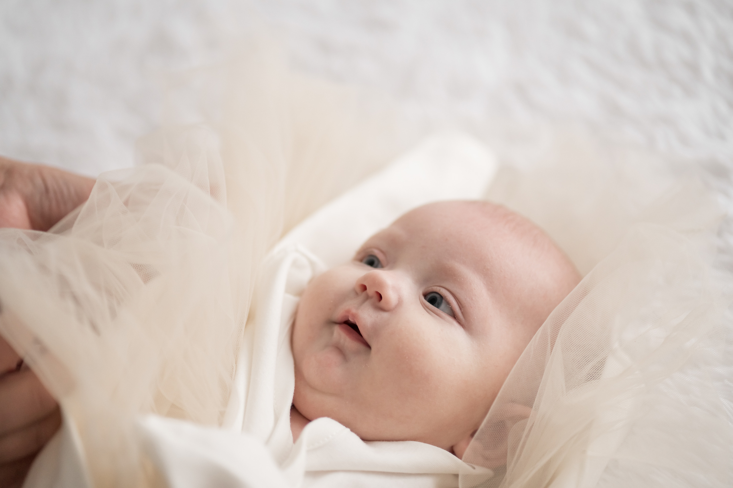 Мечты сбываются. Фотограф Татьяна Митрофанова