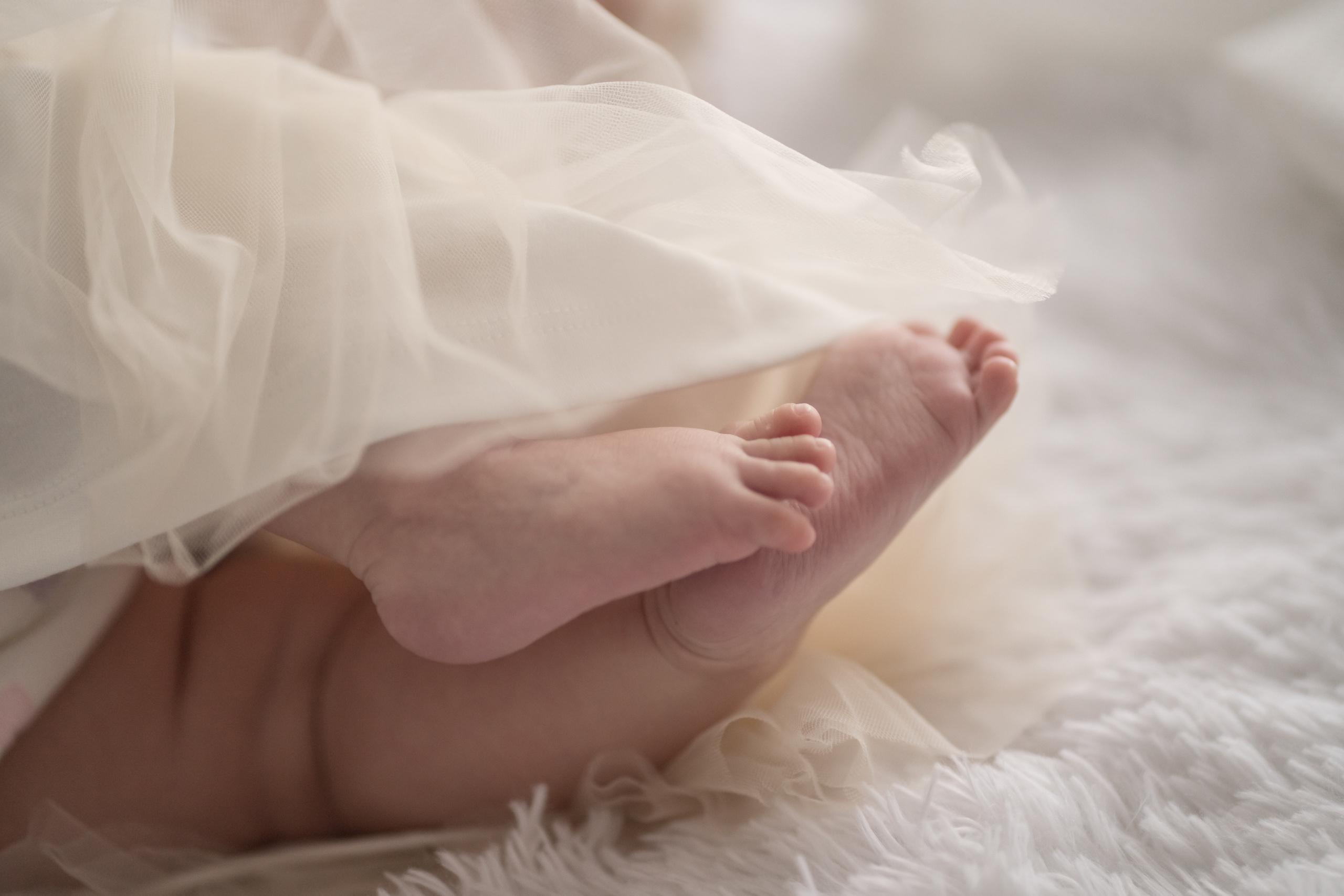 Мечты сбываются. Фотограф Татьяна Митрофанова