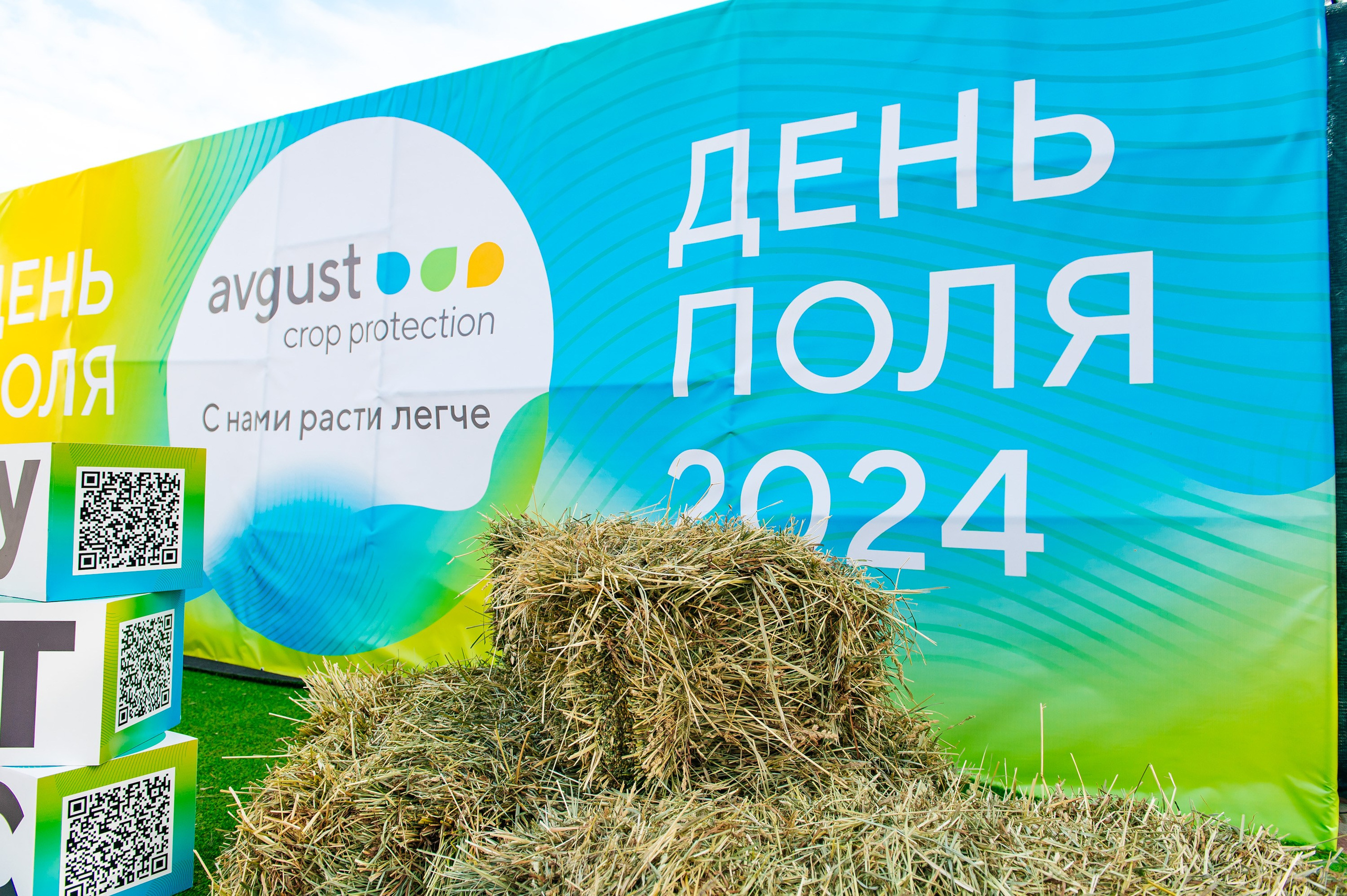 День поля. Главная