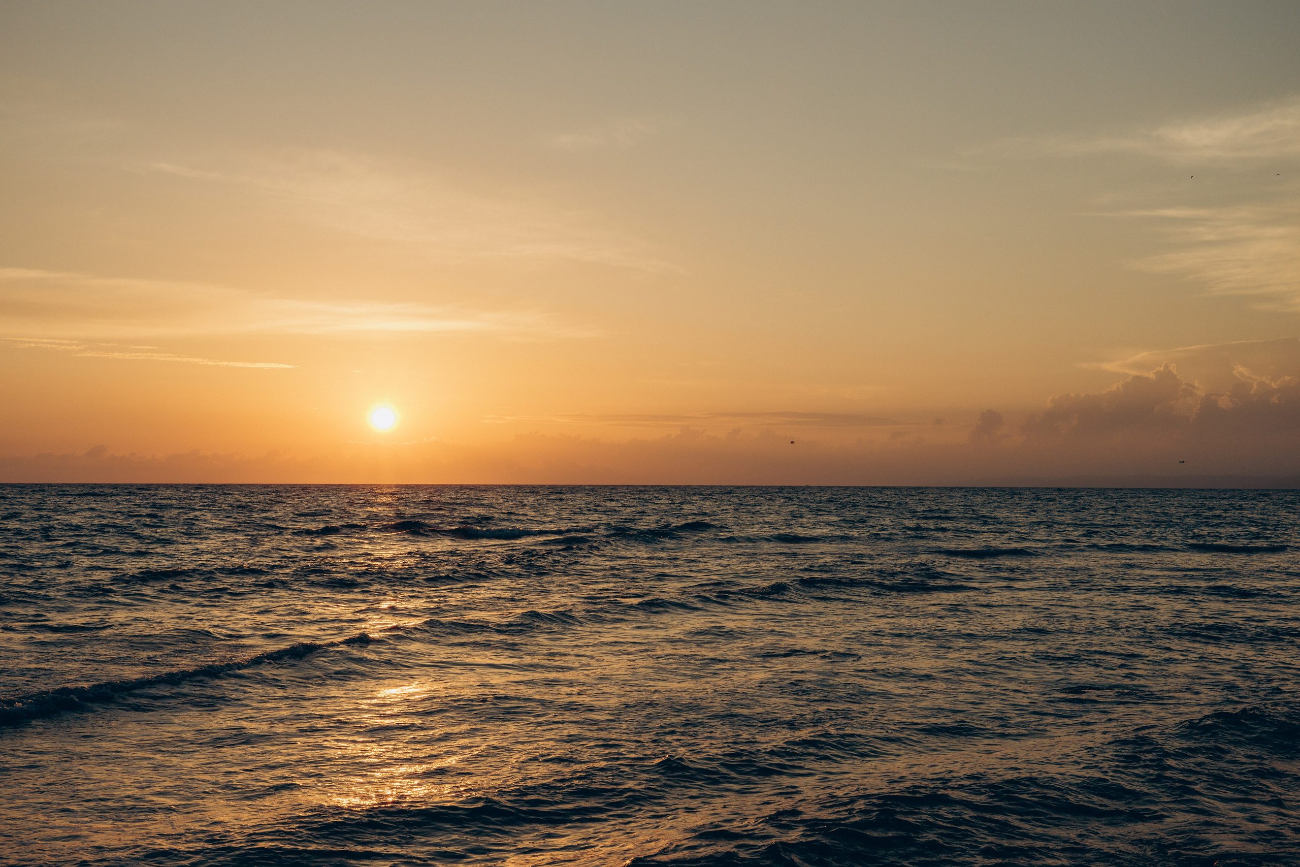 Владимир и Полина