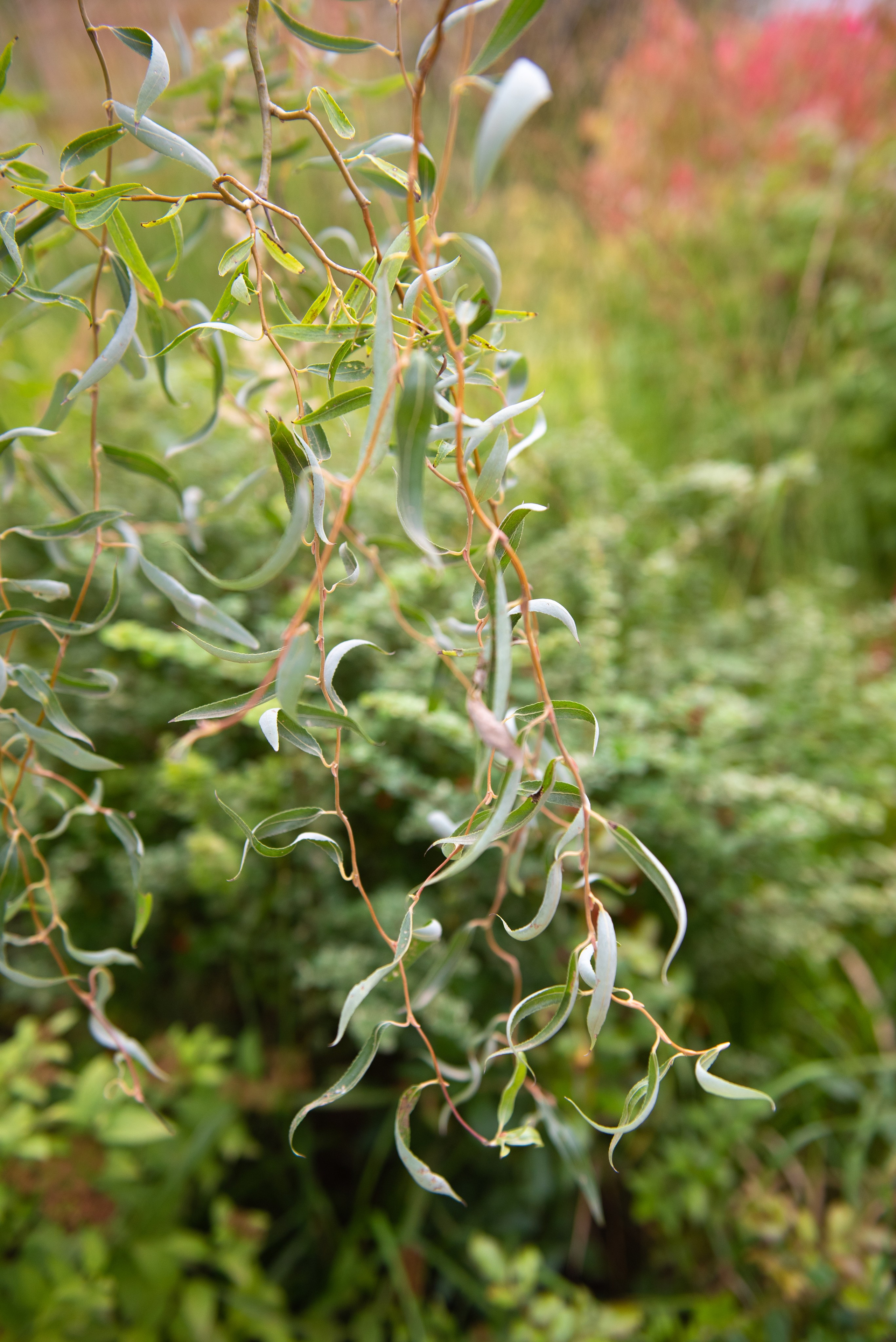 Печоры. Портретный и архитектурный фотограф в Москве и Санкт-Петербурге
