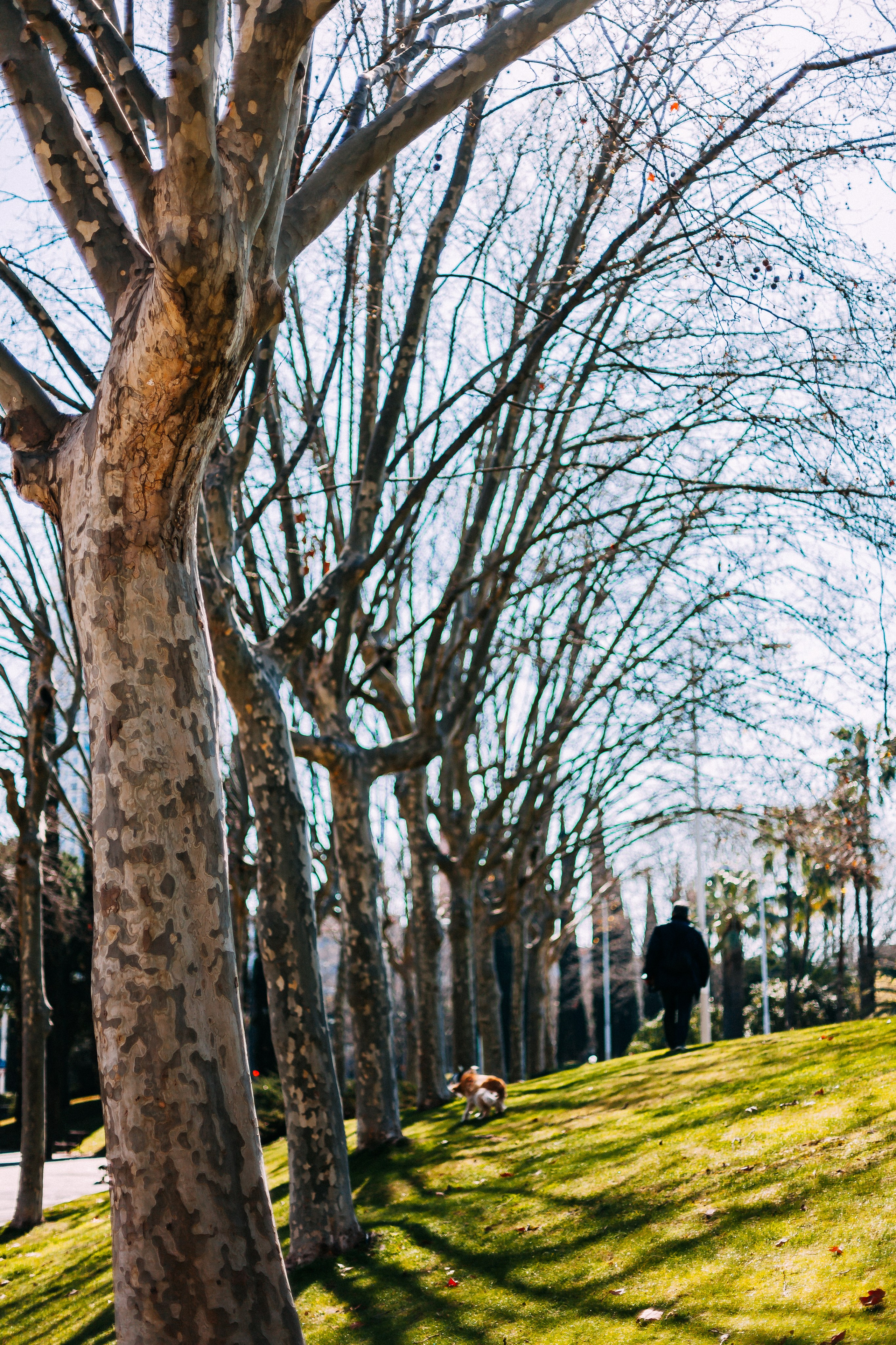 Барселона. Аня Степанова