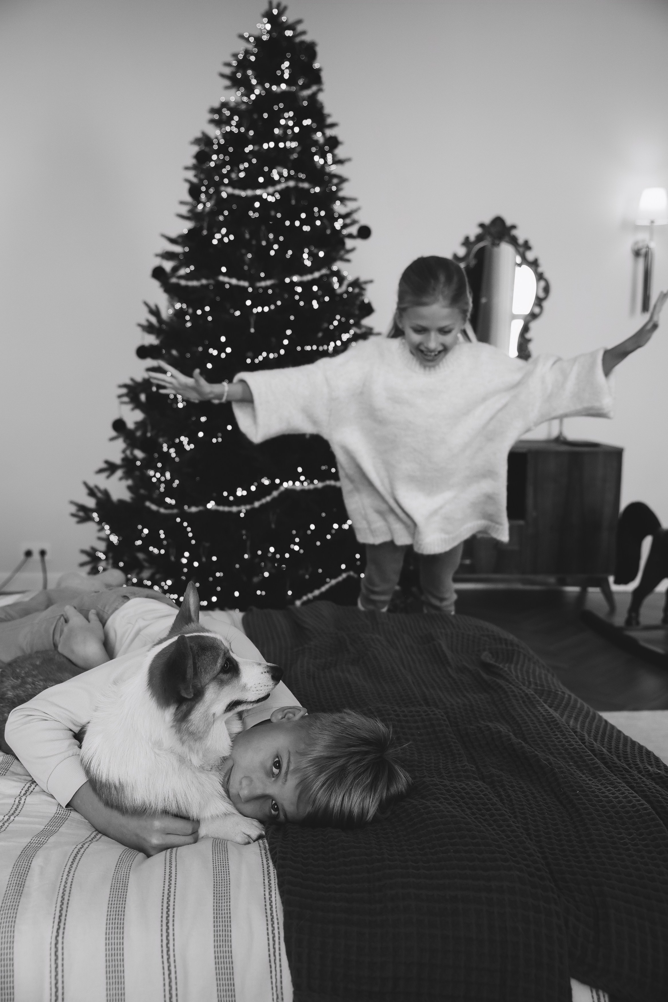 Новогодняя фотосессия во Владимире съемка на новый год фотосессия в студии фотограф во Владимире фотограф в Москве корги. Фотограф Владимир Москва