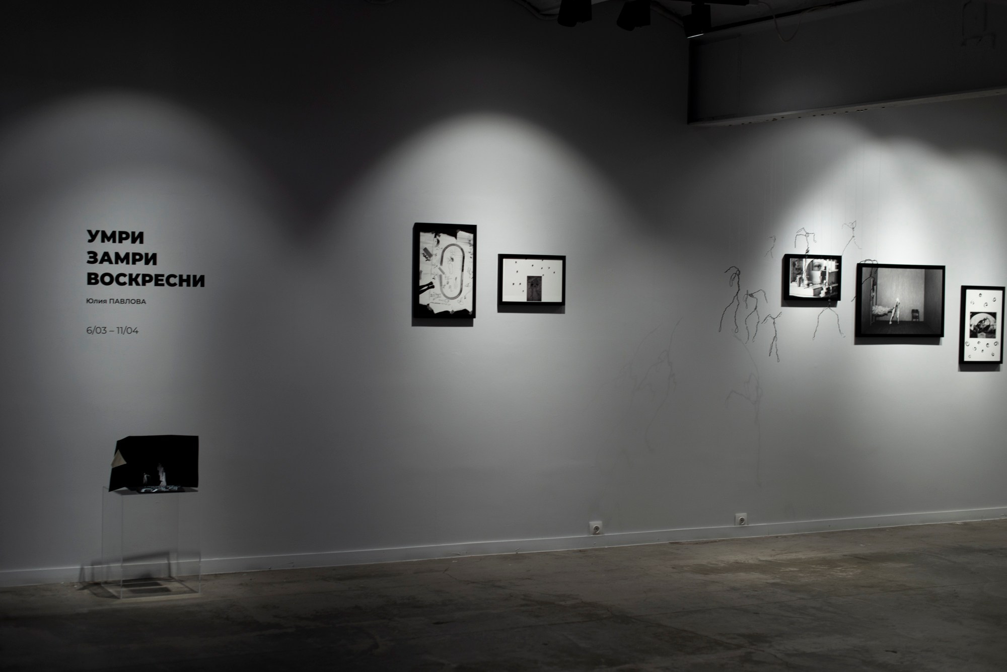 Die, freeze, rise! Pennlab gallery 2024. Main