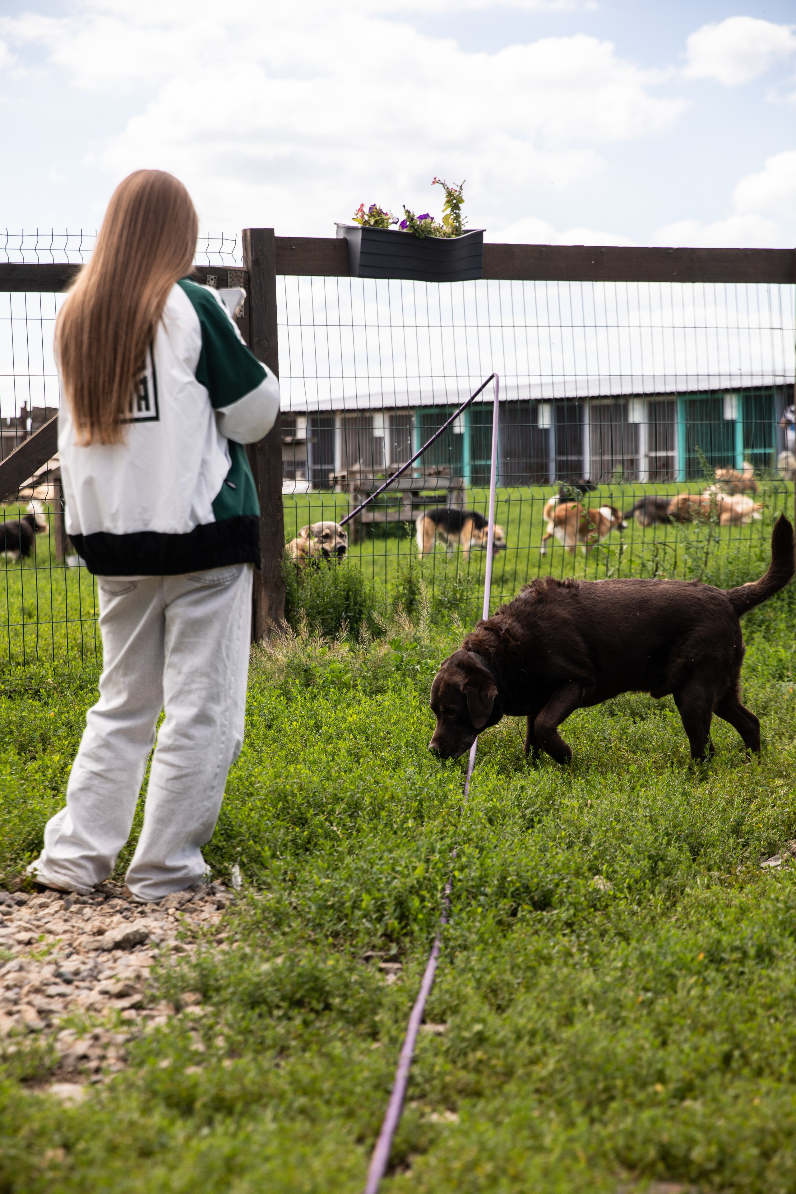 Приют — Наш дом. Репортажный и свадебный фотограф в Челябинске Елисеев Павел