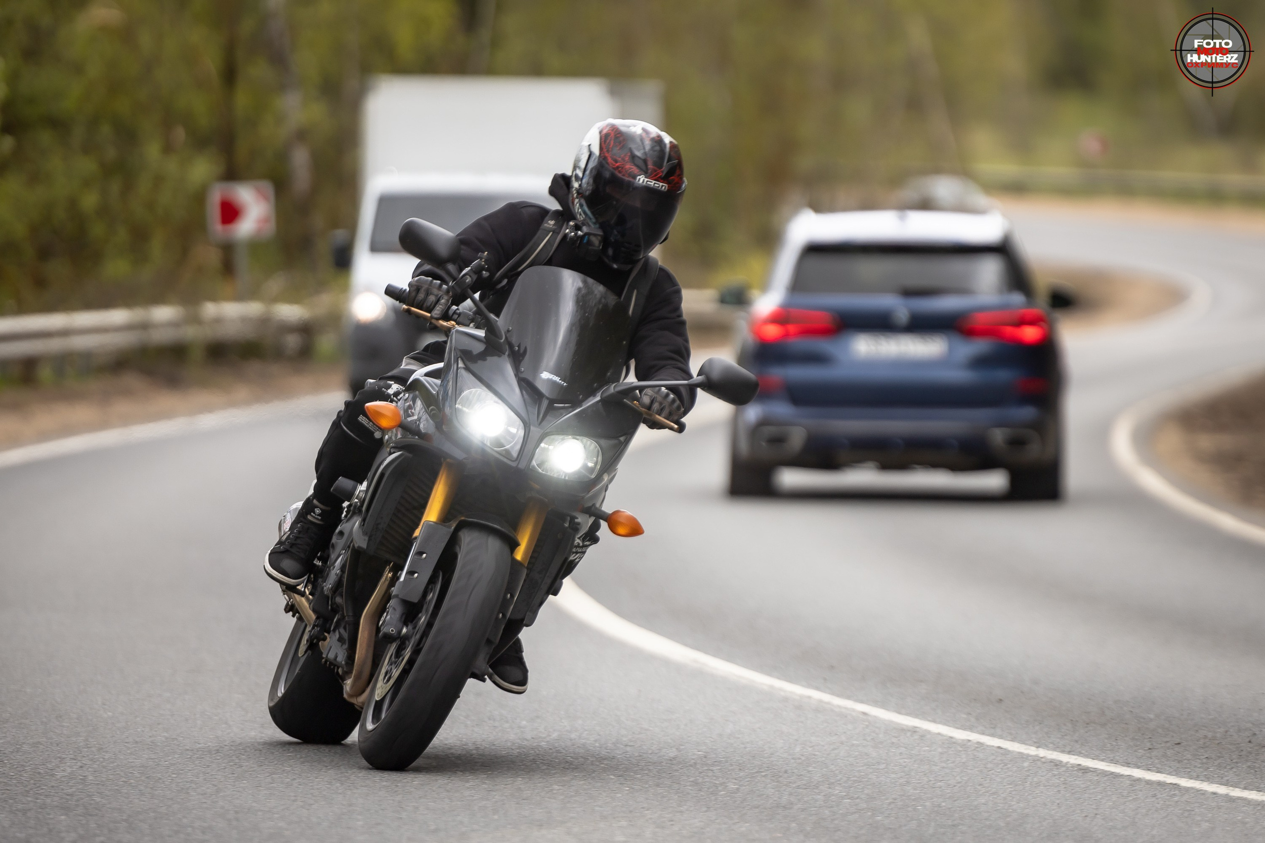 Первое Сафари в 2025 г. на Рогачевском ш. Фотограф Владимир Охрименко