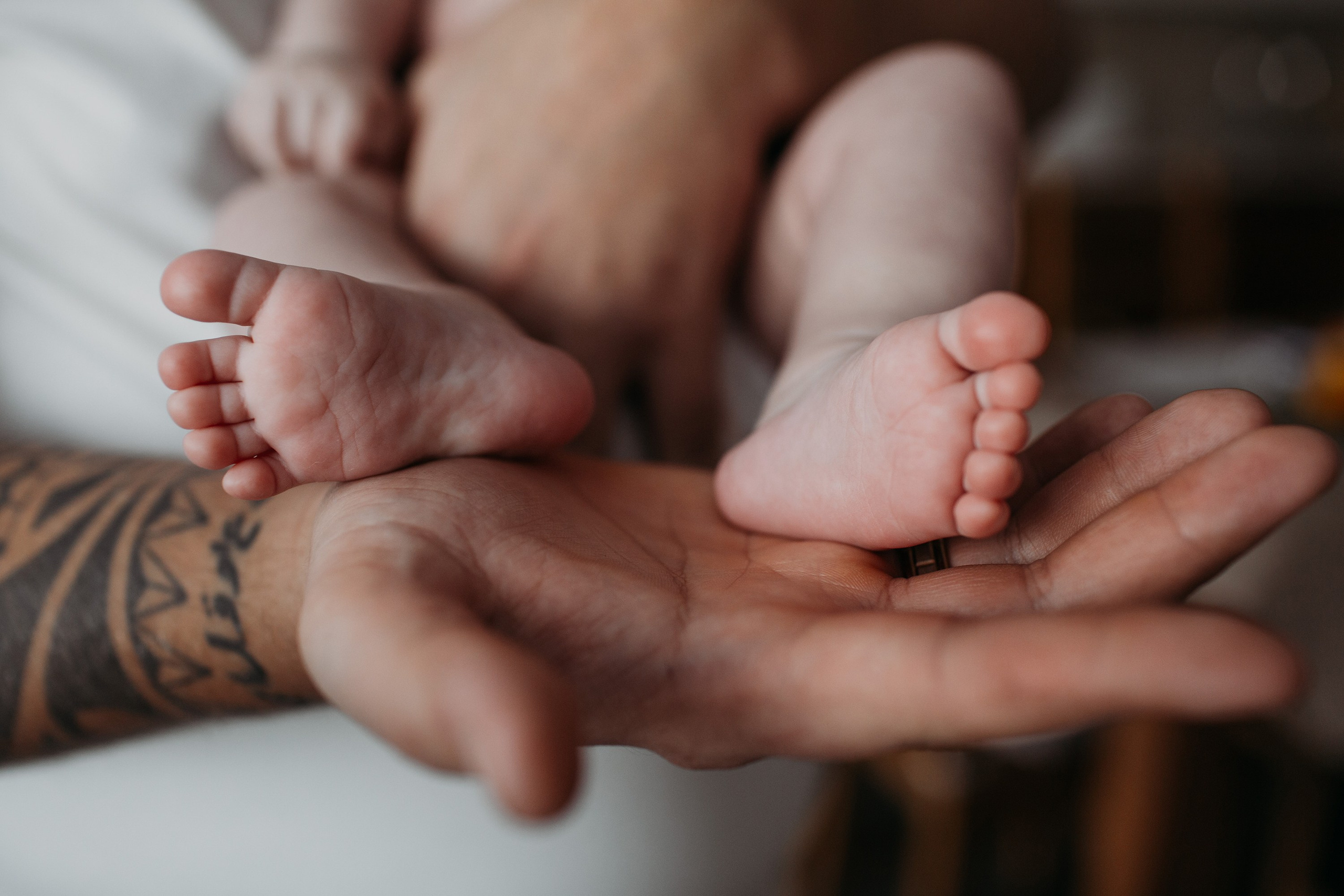 Есения, София, Мария, Сейран. Семейный фотограф Томск