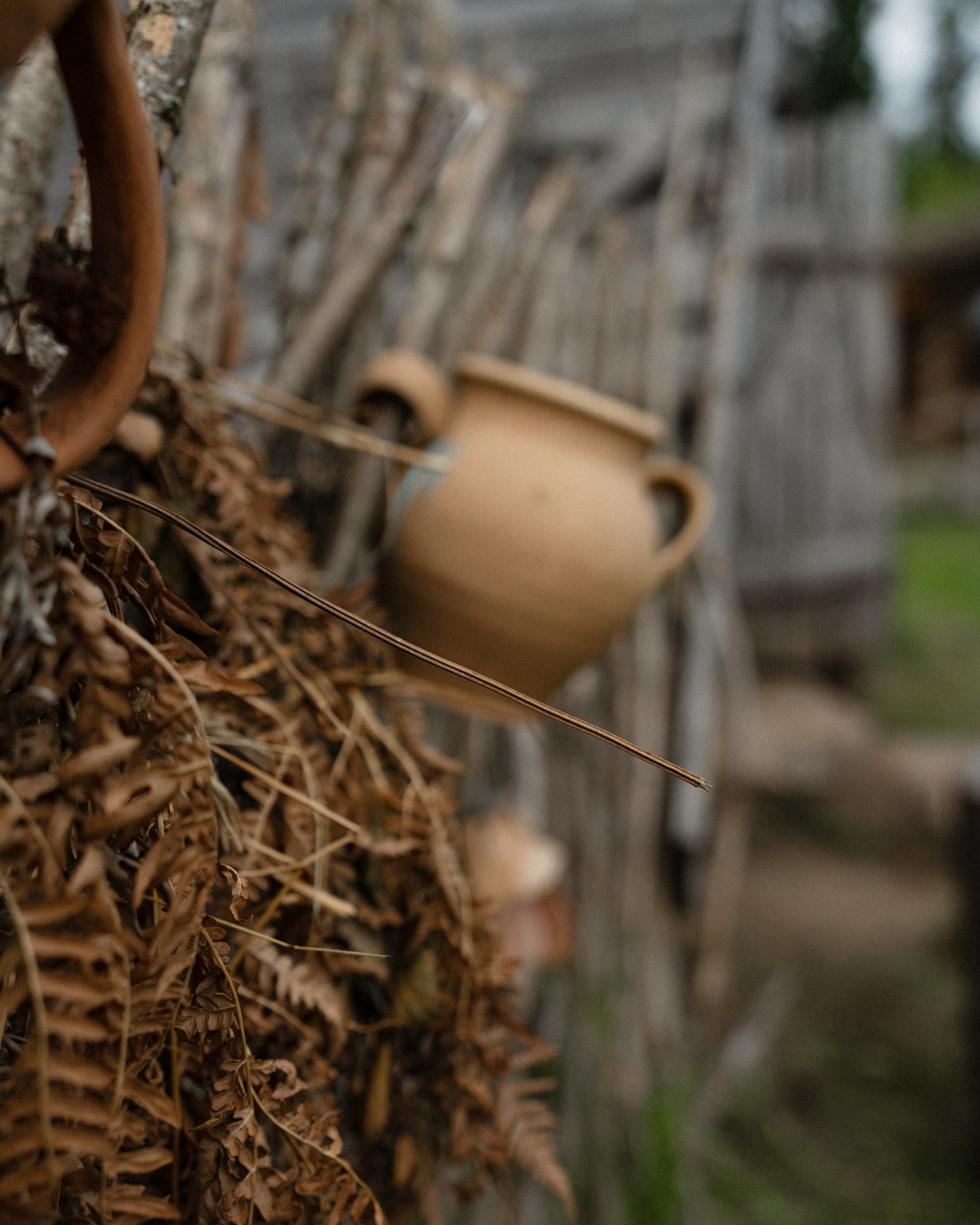 Беларусь. Твой фотограф в Москве и Московской области Романцова Ирина