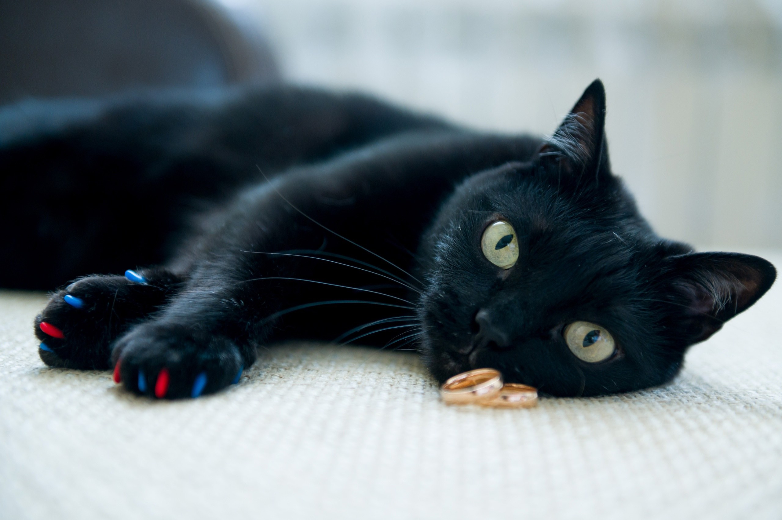Александр и Елена. Фотограф Зырянова Яна, Снежинск, Екатеринбург, Челябинск