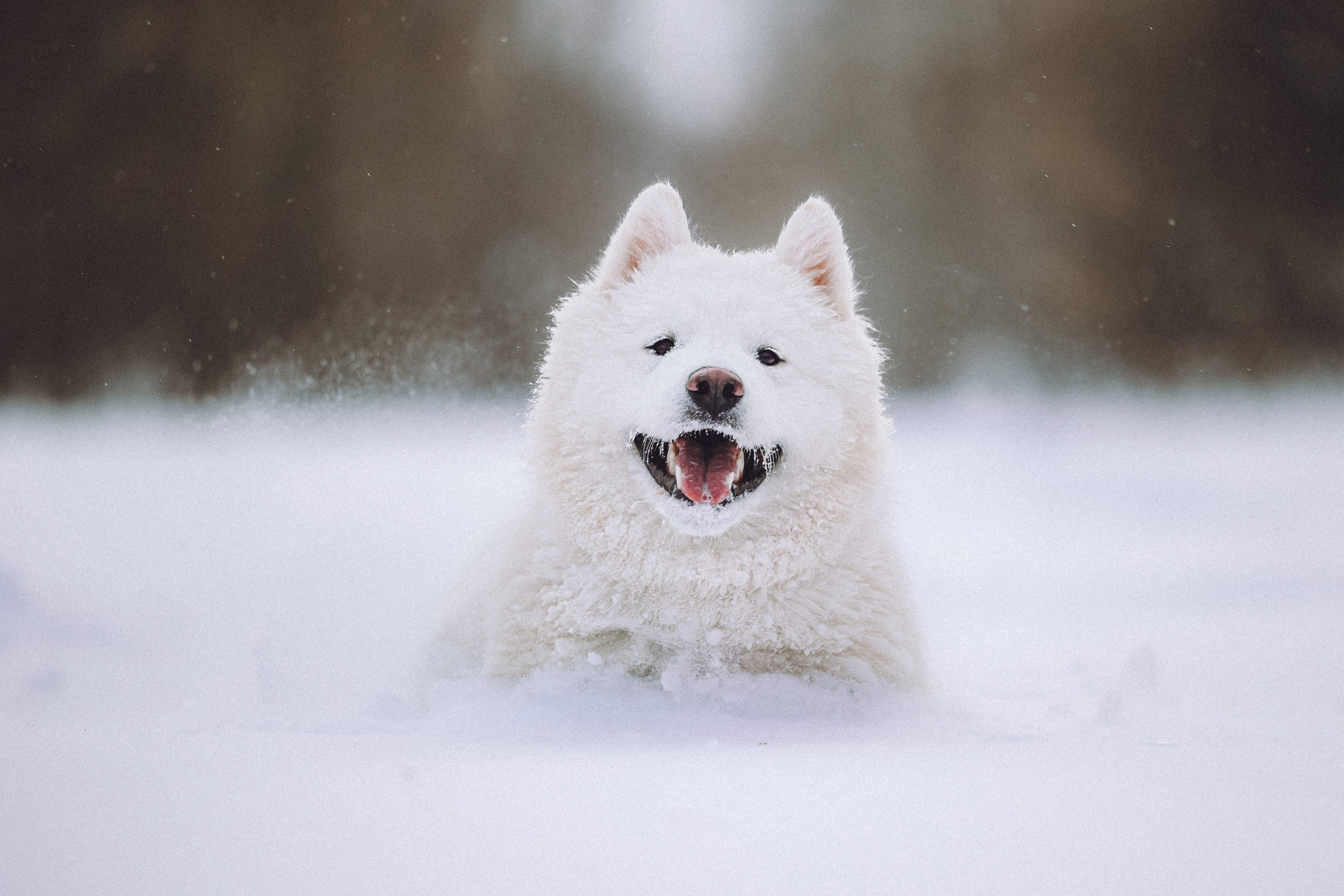 Мария и Мася