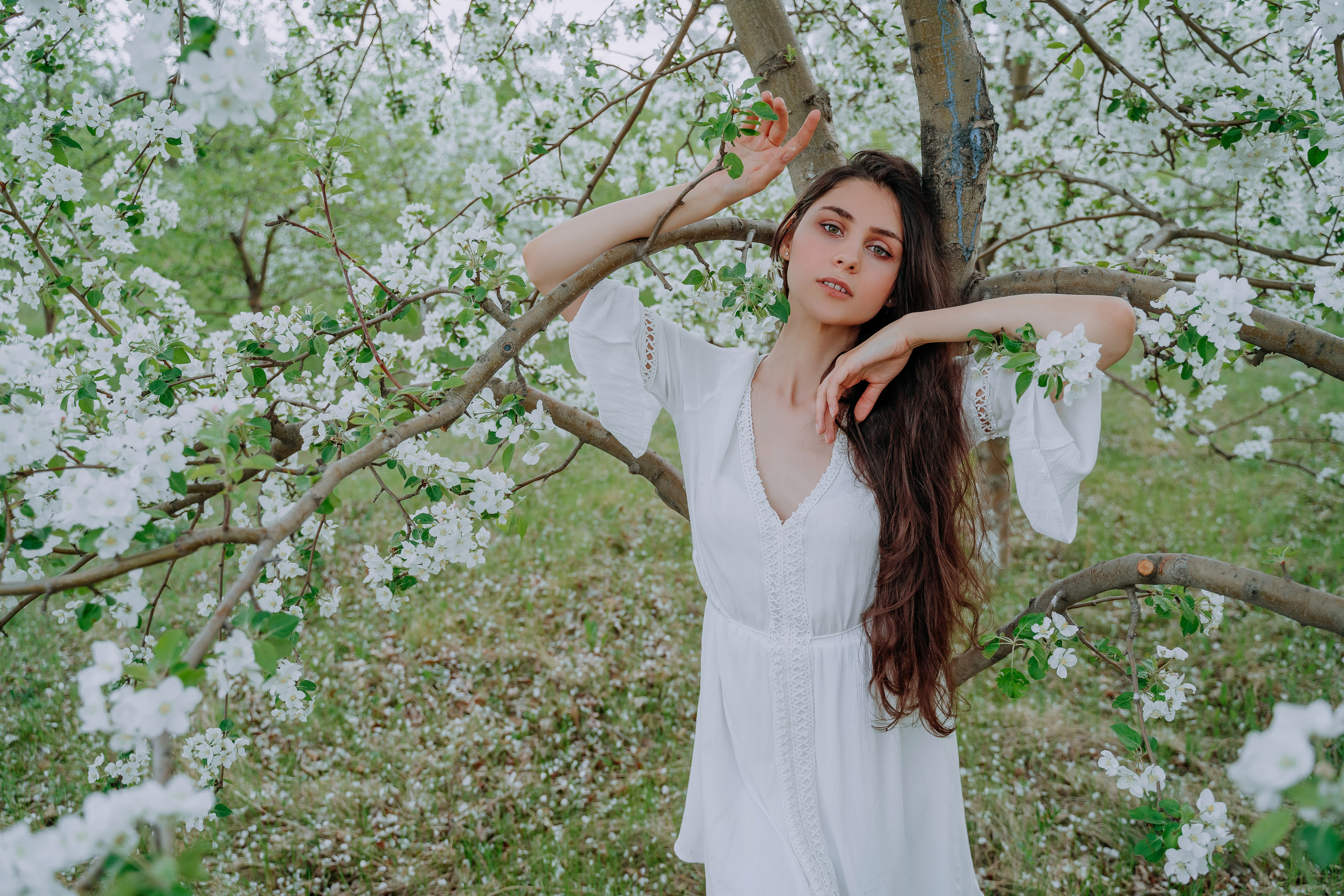 В яблонях. Андрей Варсан. Фотограф в Красноярске