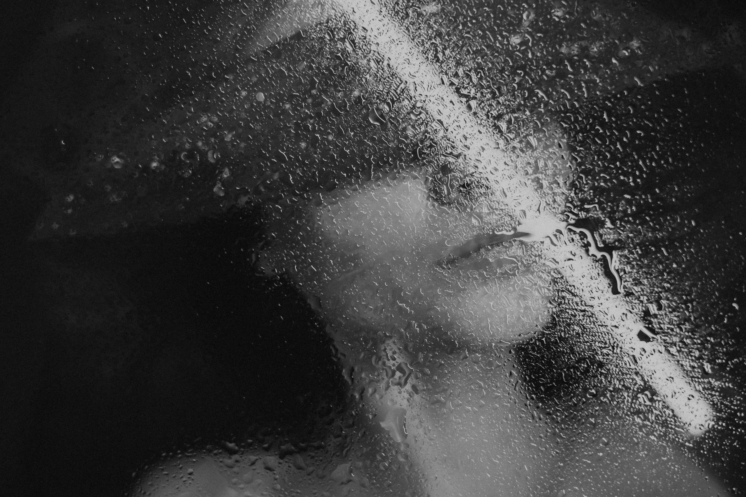 В цветах. Андрей Варсан. Фотограф в Красноярске