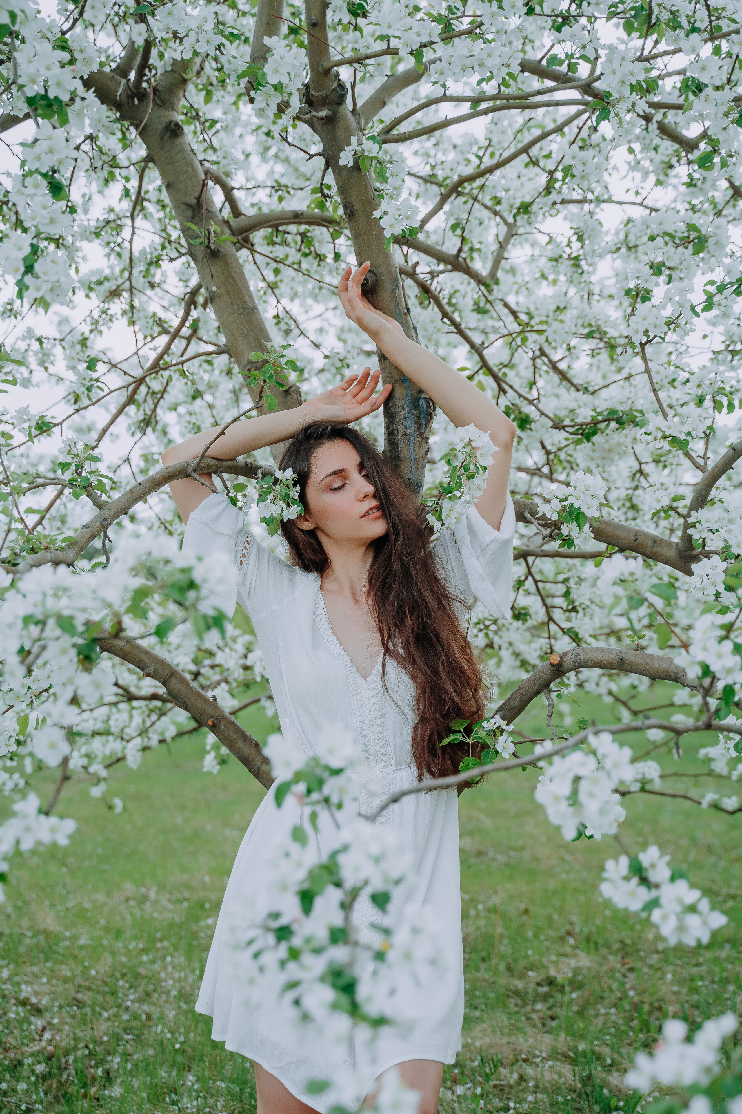 В яблонях. Андрей Варсан. Фотограф в Красноярске