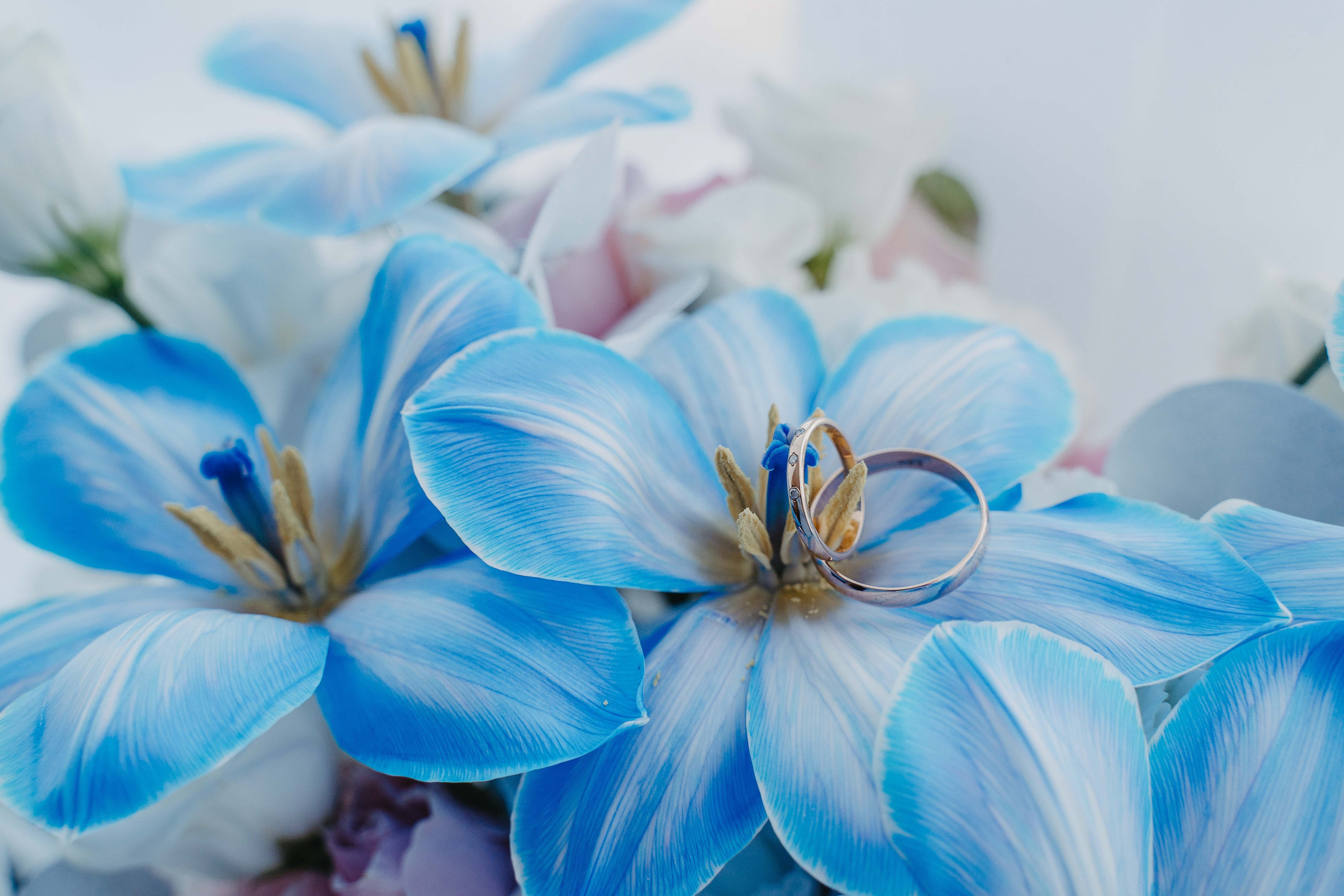 27.08.202. Андрей Варсан. Фотограф в Красноярске