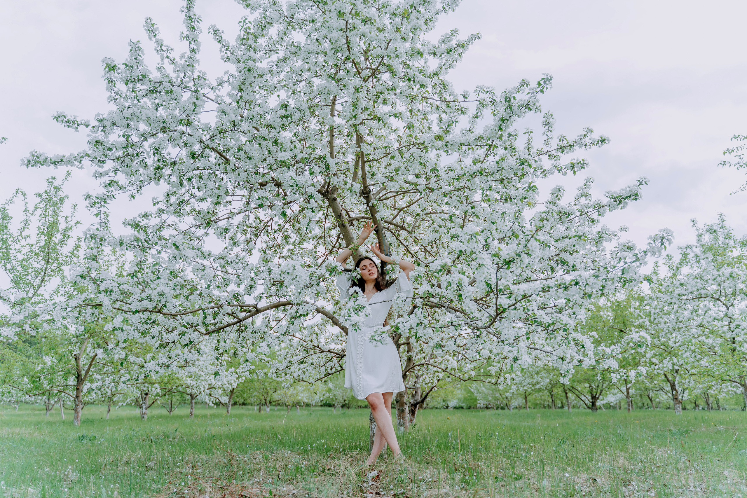 В яблонях. Андрей Варсан. Фотограф в Красноярске