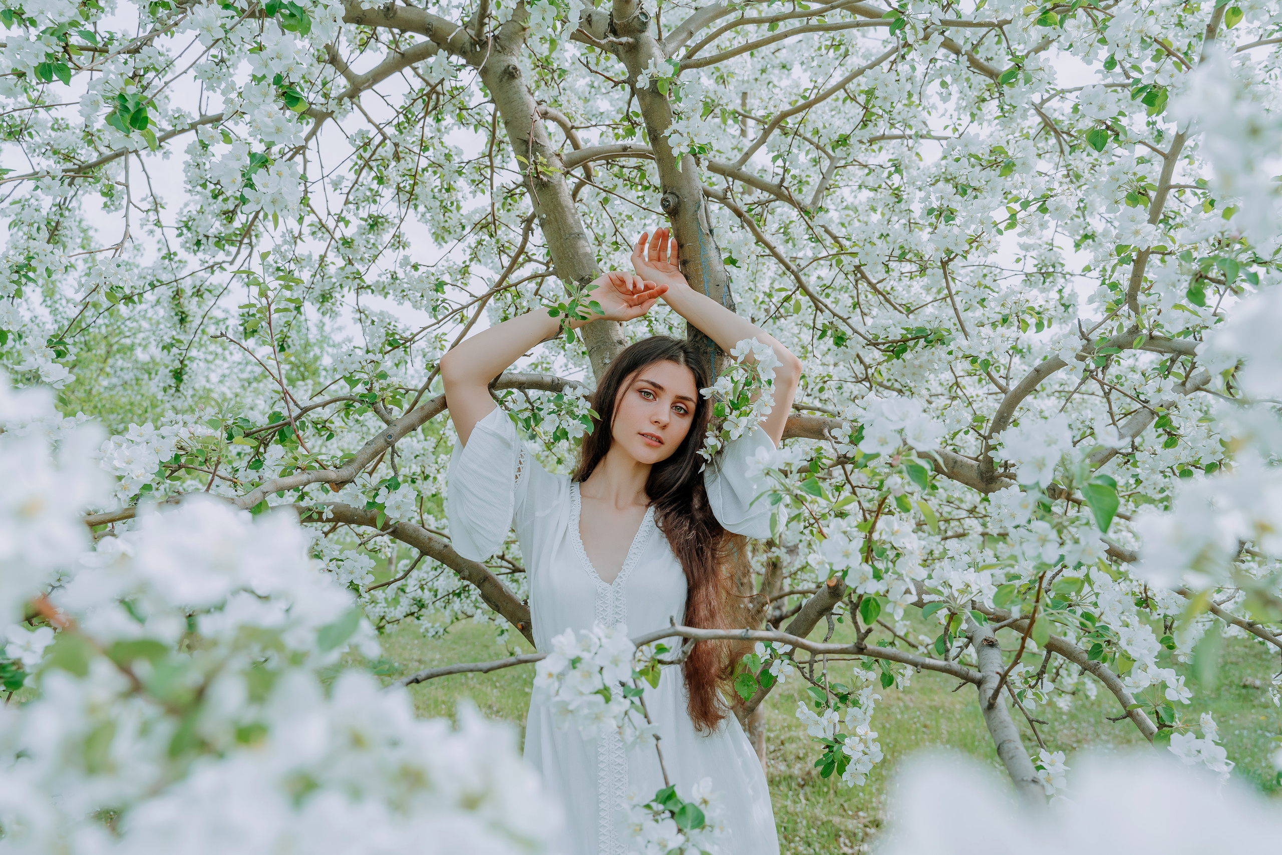 В яблонях. Андрей Варсан. Фотограф в Красноярске