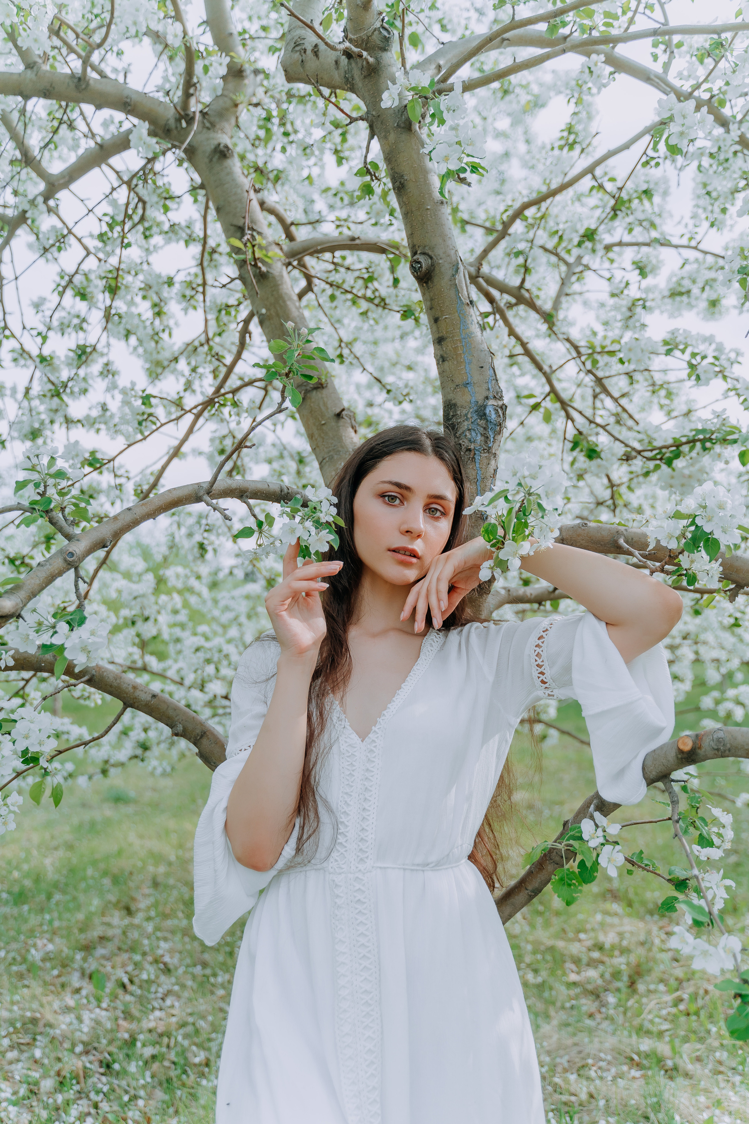 В яблонях. Андрей Варсан. Фотограф в Красноярске