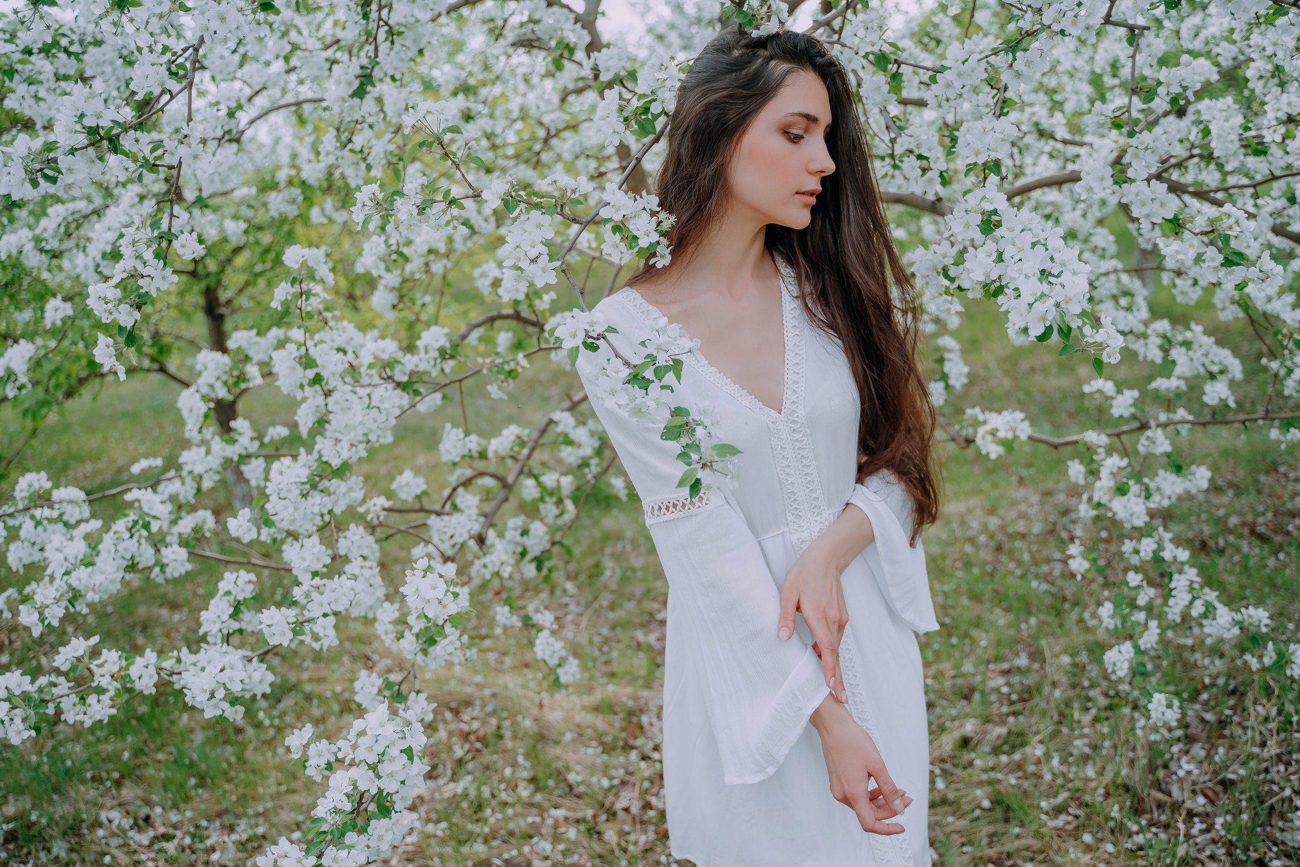 В яблонях. Андрей Варсан. Фотограф в Красноярске