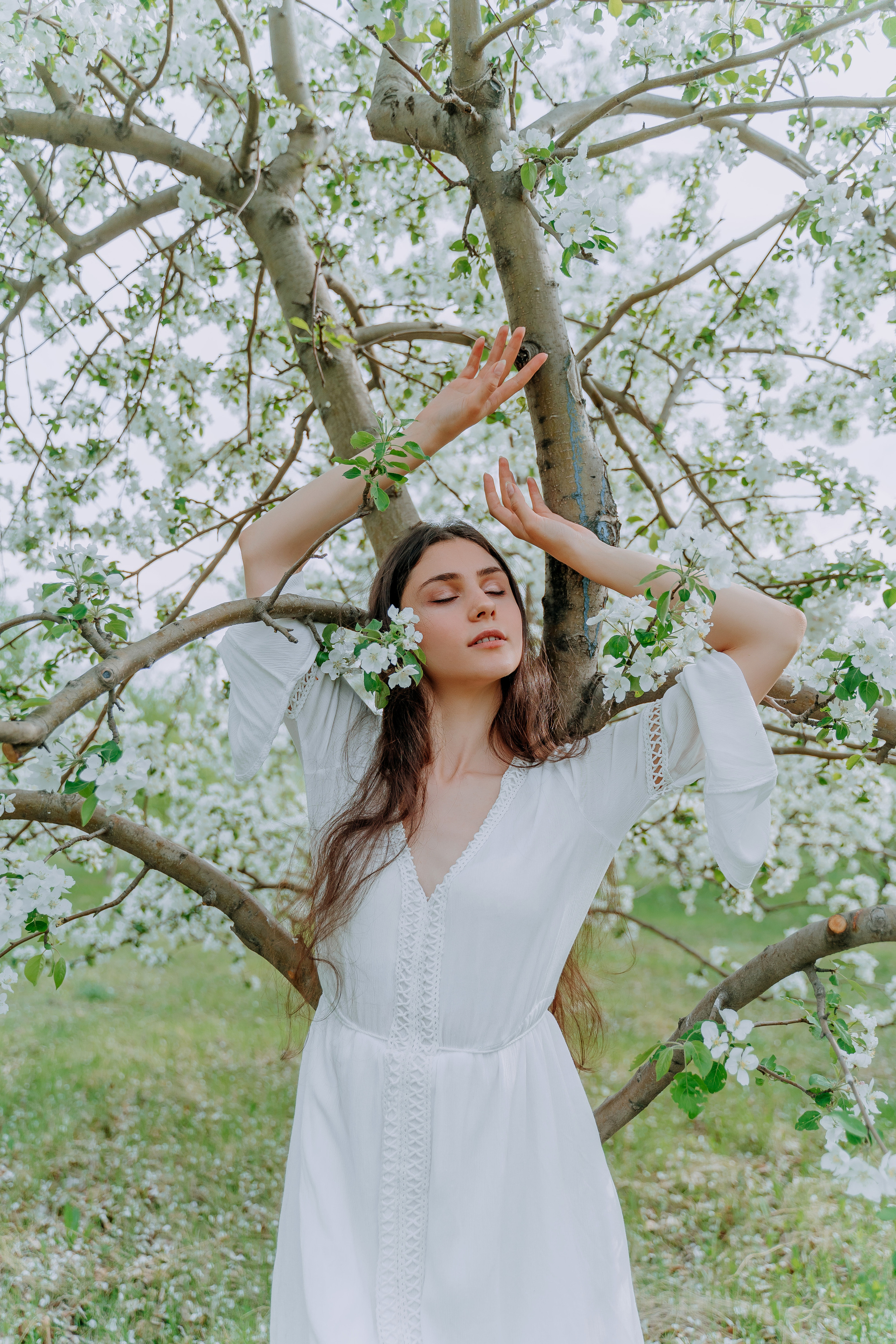 В яблонях. Андрей Варсан. Фотограф в Красноярске