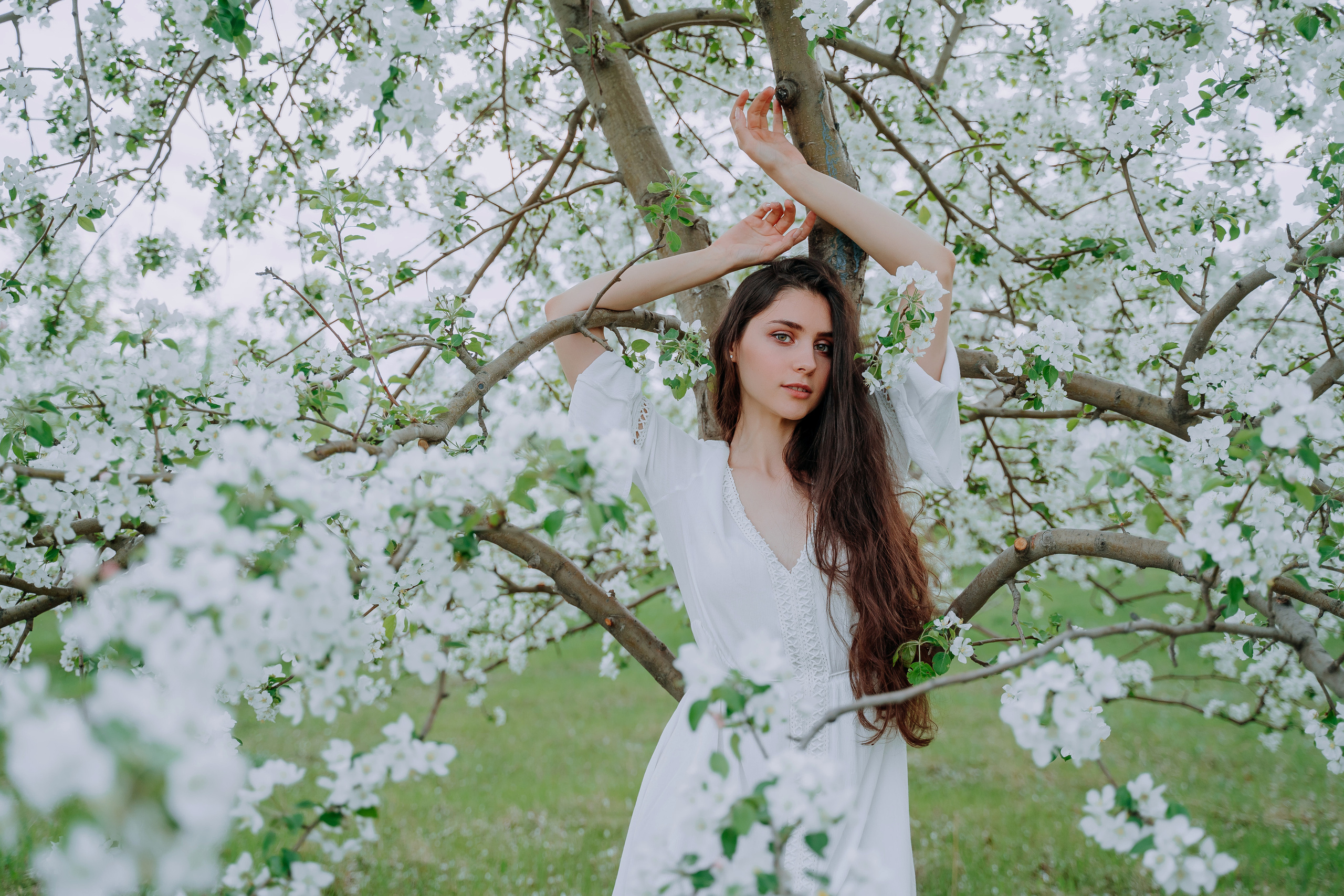 В яблонях. Андрей Варсан. Фотограф в Красноярске