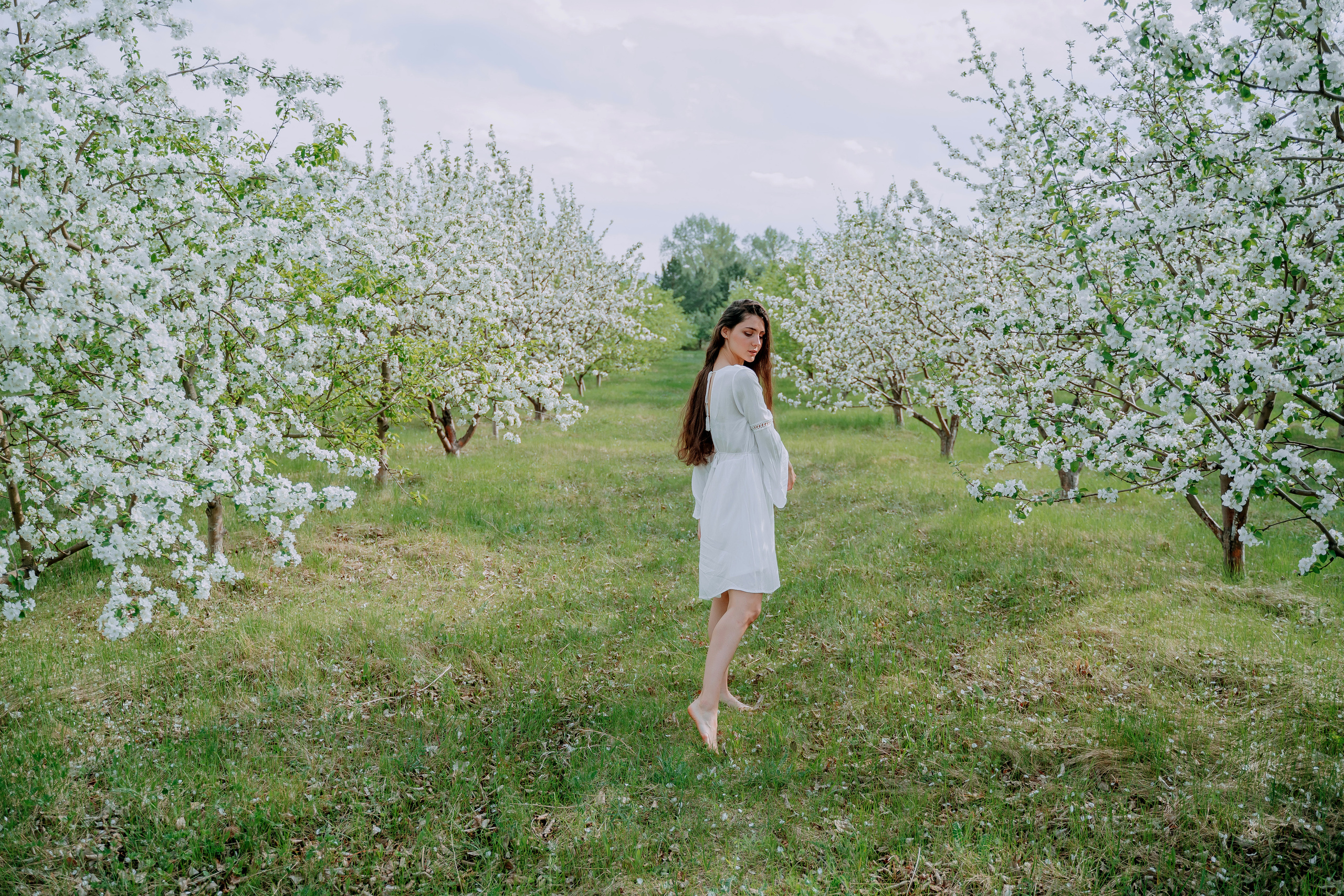 В яблонях. Андрей Варсан. Фотограф в Красноярске