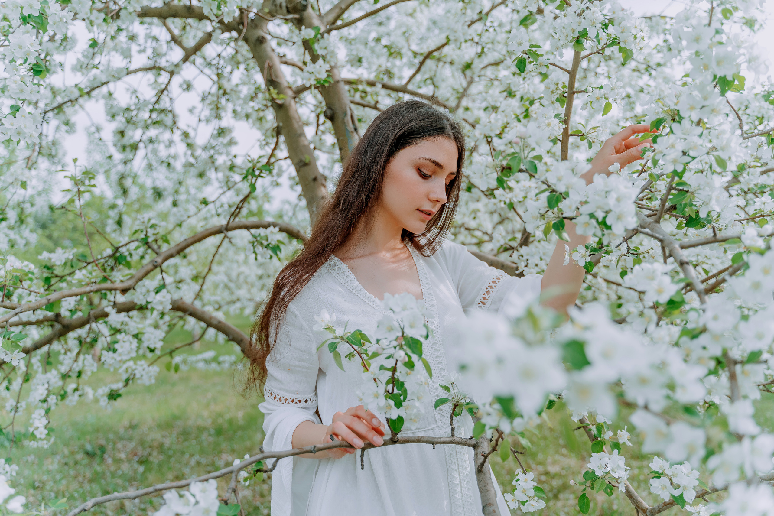 В яблонях. Андрей Варсан. Фотограф в Красноярске
