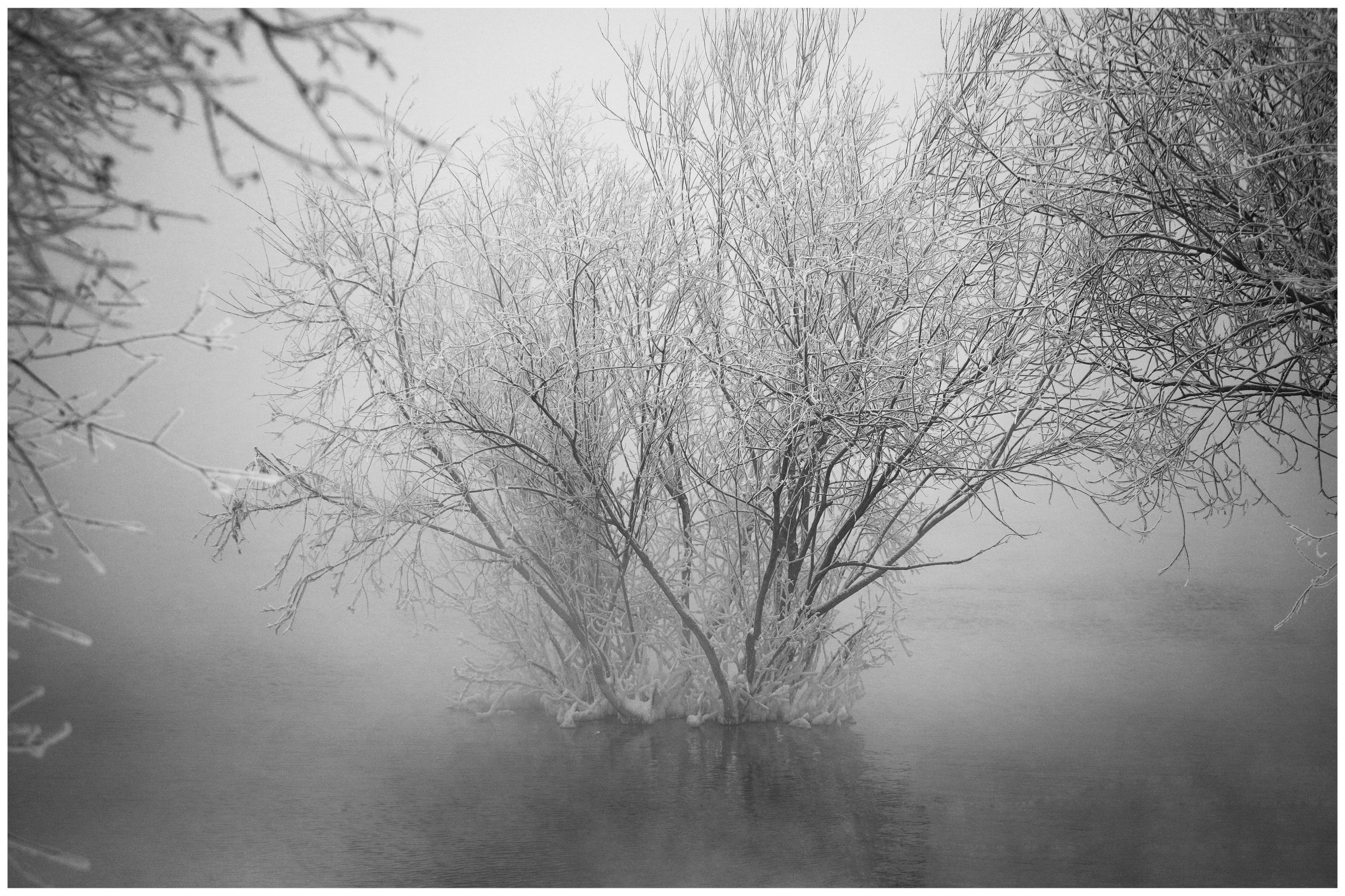 2020. Тащилин Сергей. Фотографии. Жизнь. Хобби