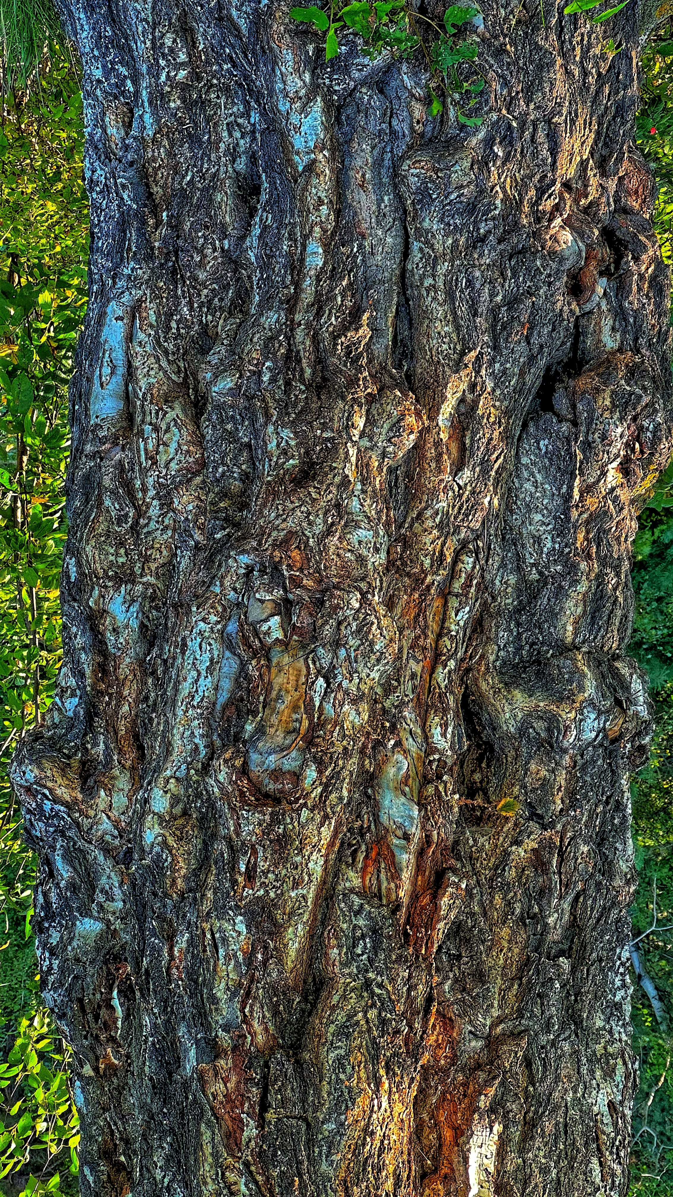 2024. Тащилин Сергей. Фотографии. Жизнь. Хобби