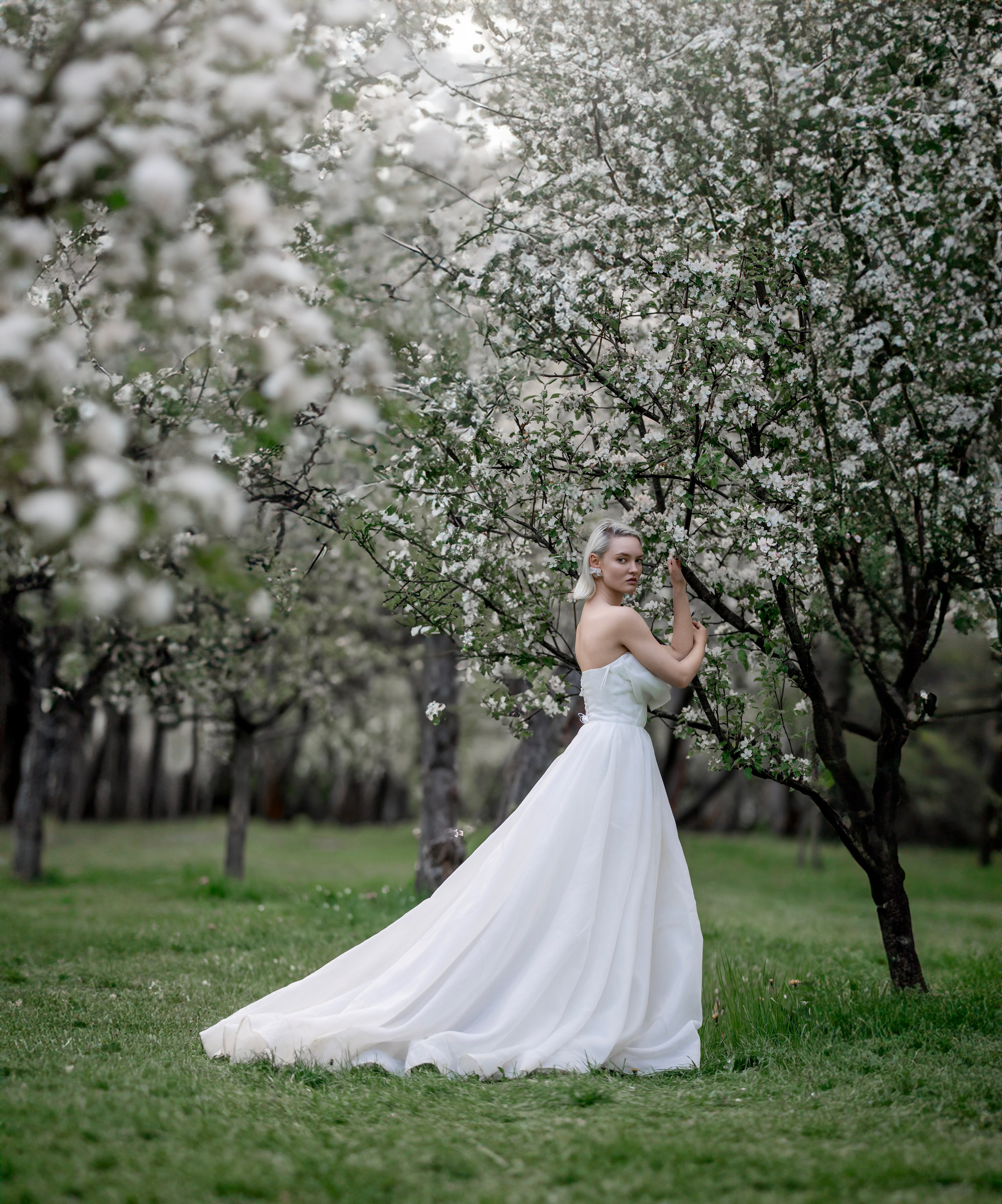 Цветение садов. Профессиональный фотограф в Москве Марина Григорьева