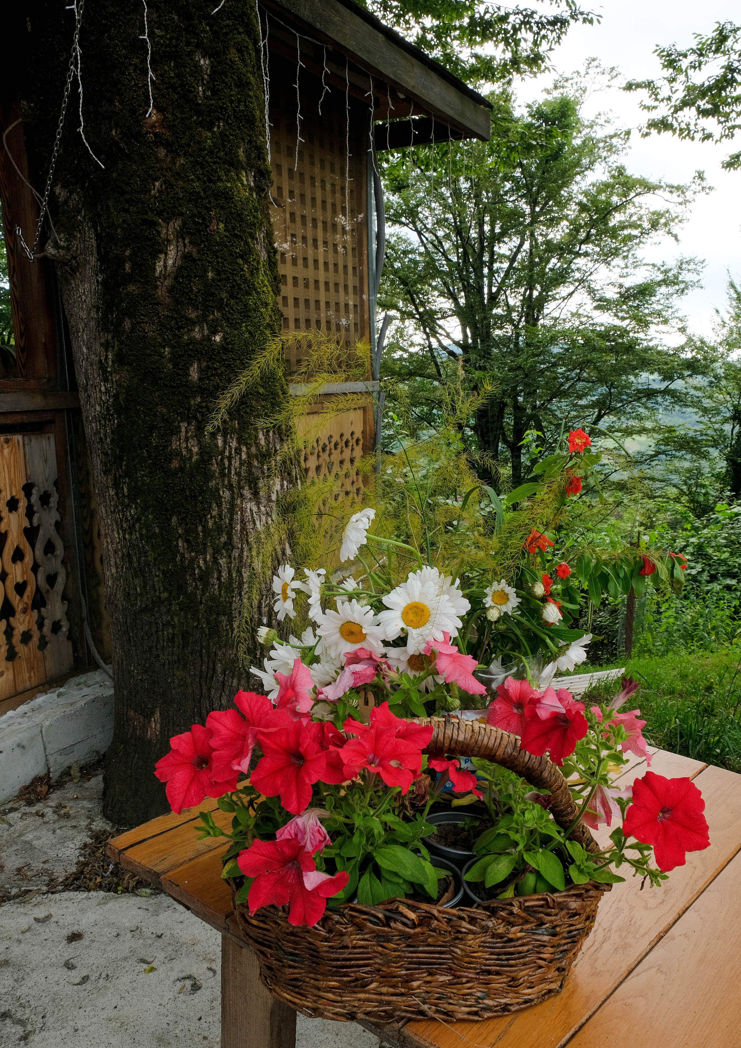 Репортажная съемка