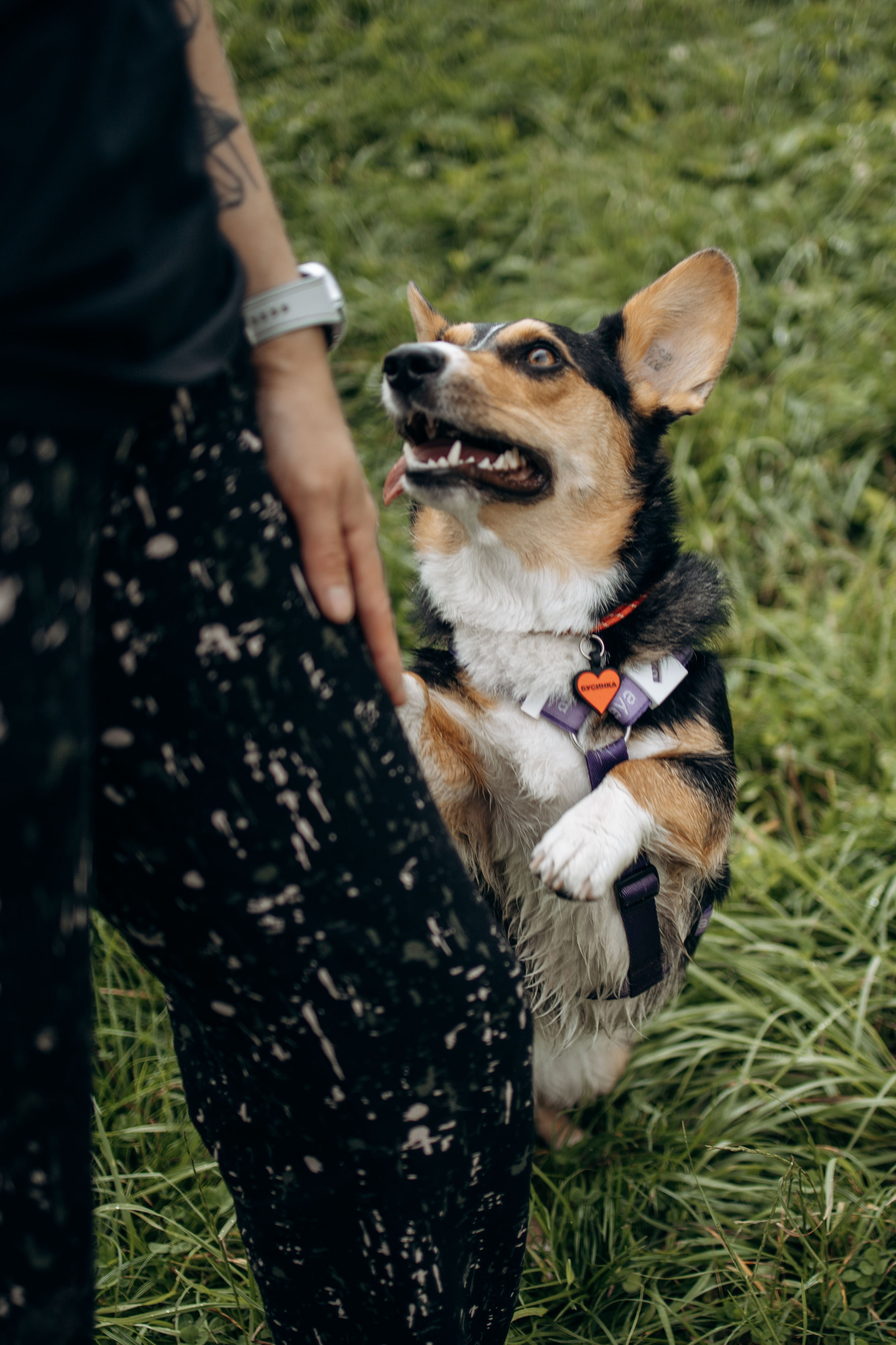 Тамара и Бусинка