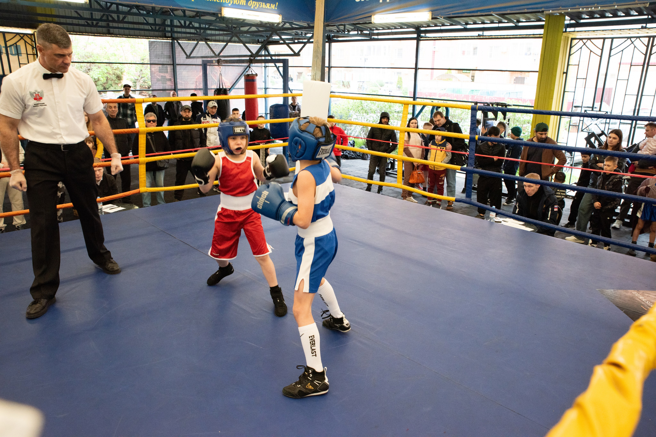 Соревнования GO FIGHT. Фотограф в Краснодаре Анна Карелина