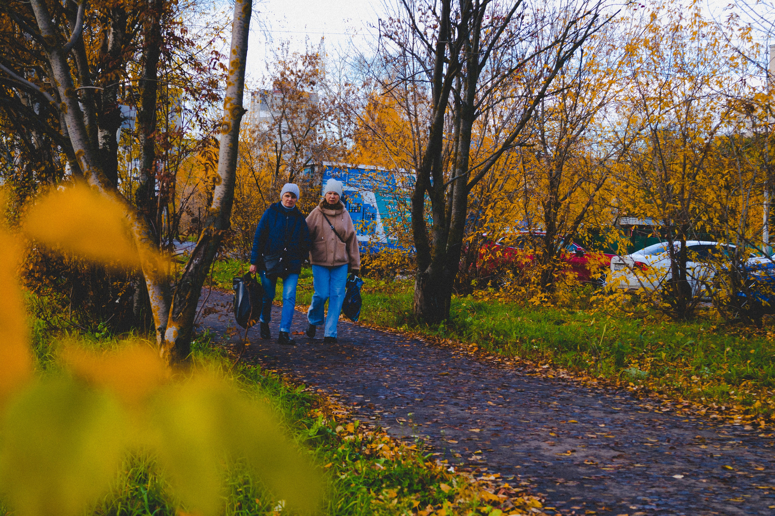 Октябрь 2025. Den Mirov — Фотограф, Музыкант