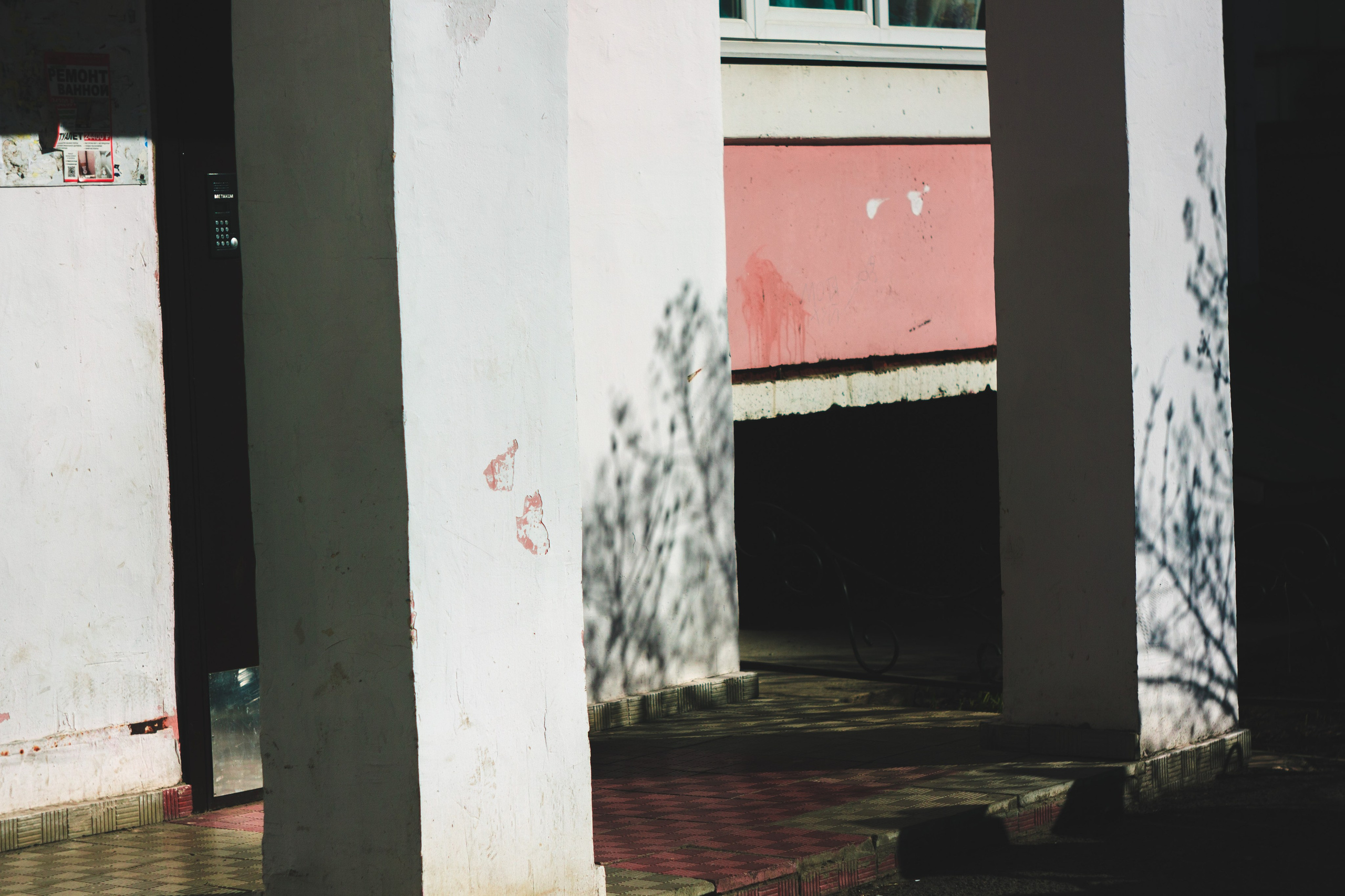 Пара… ПараПам. Den Mirov — Фотограф, Музыкант