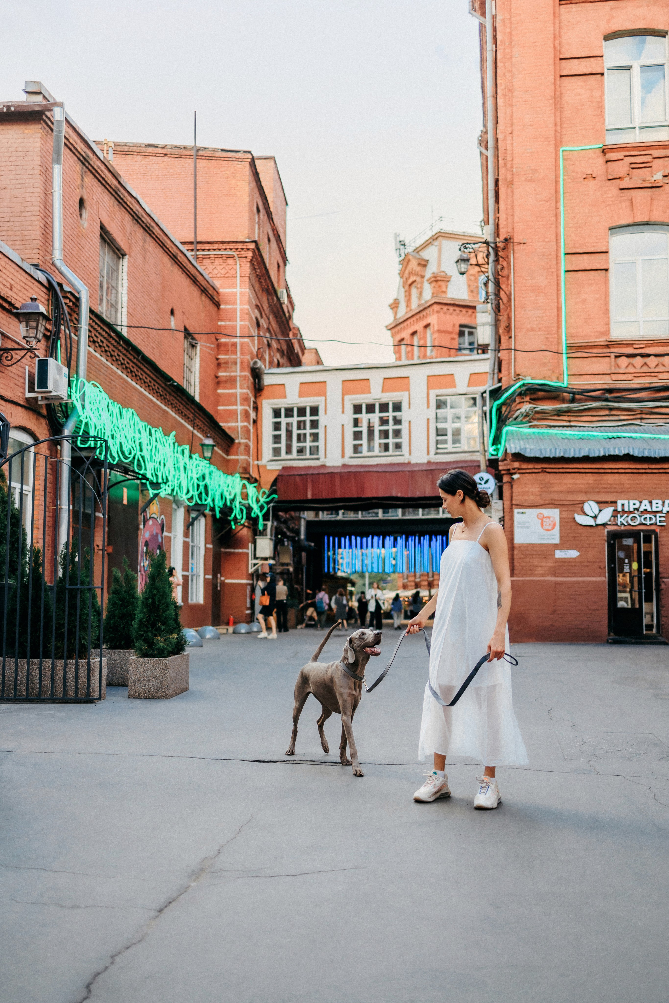 Соня и Майли. Фотограф-анималист Елена Радченко, Москва