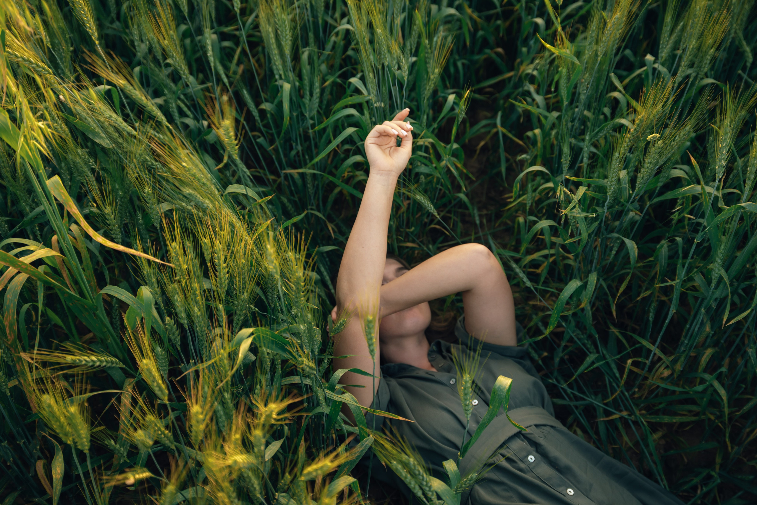 An Evening in the Field. Anna Lobanova | Photographer